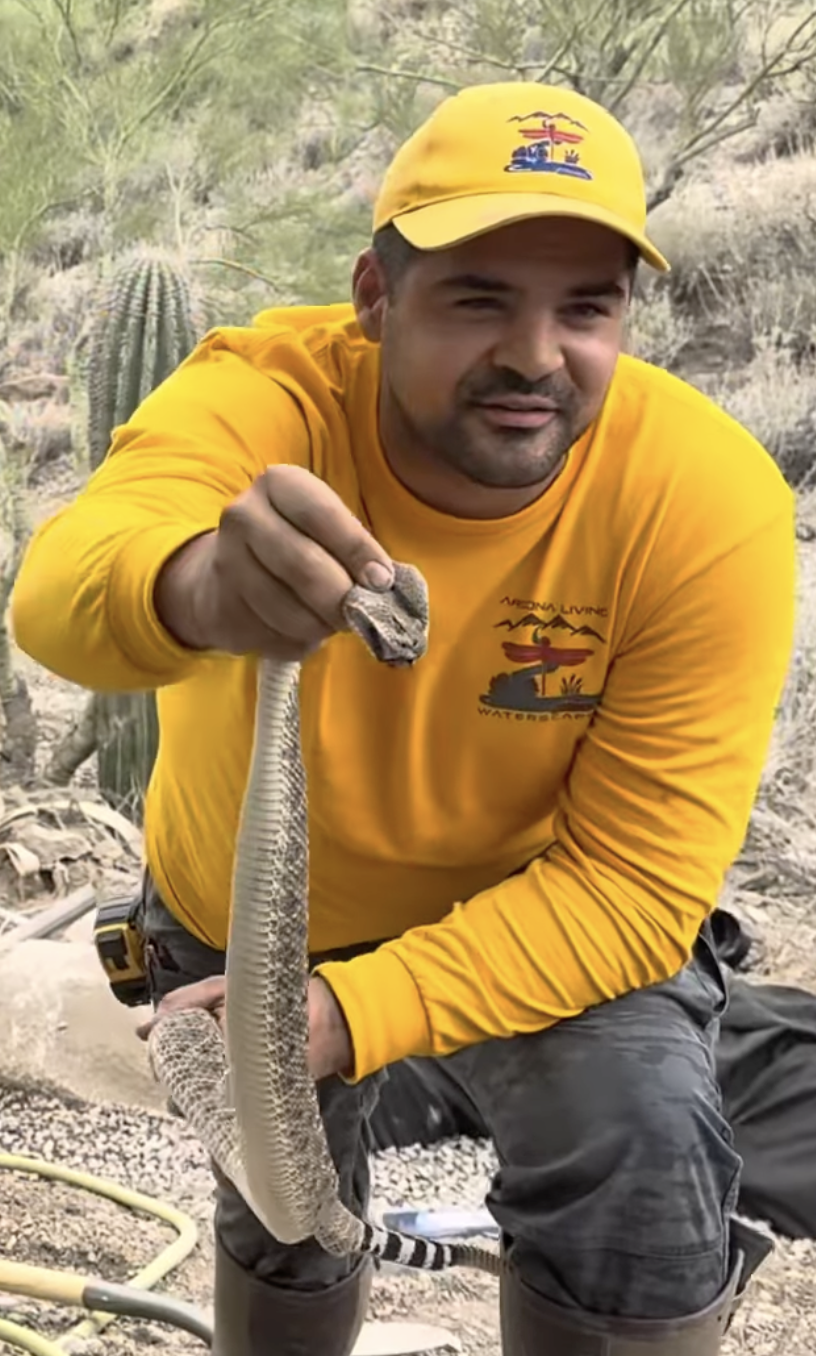 pond installer holding arizona rattlesnake on a west phoenix install job