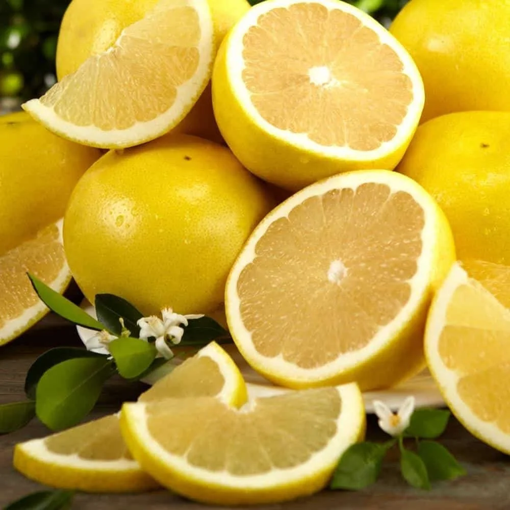 grapefruit white sliced.jpeg