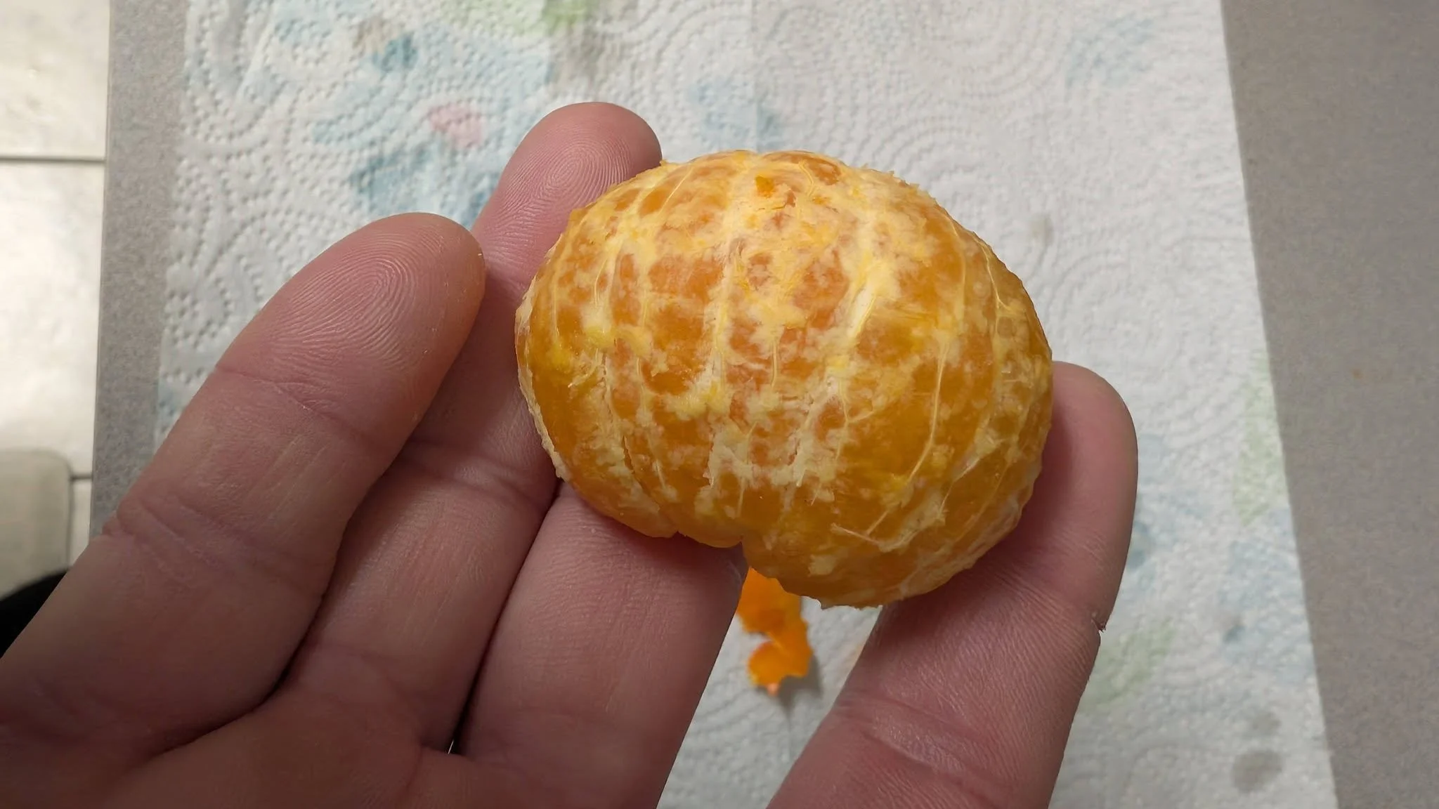 mandarin cut in hand.jpg