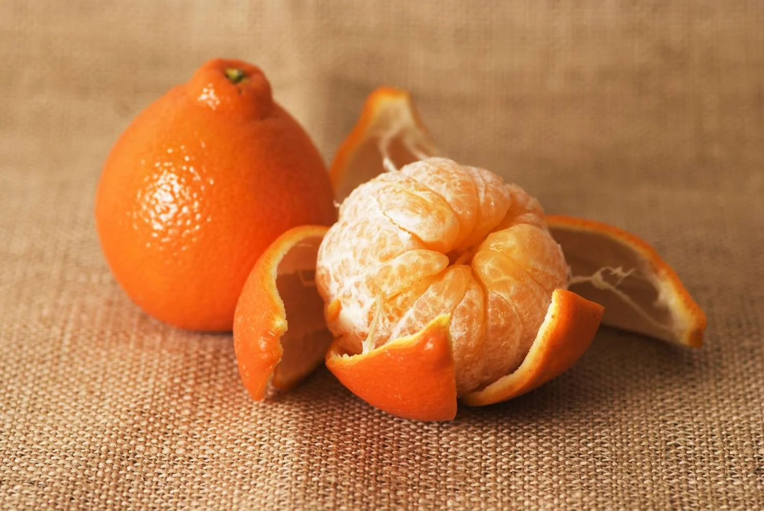 Tangelo Trees (Citrus reticulata × paradisi) - PREORDER