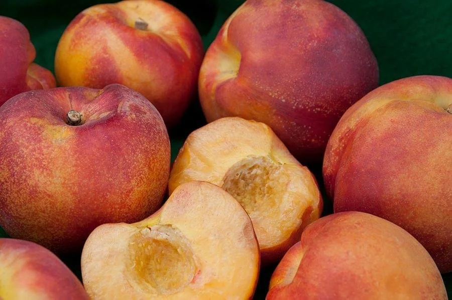 nectarine desert-delight-2011a.jpg