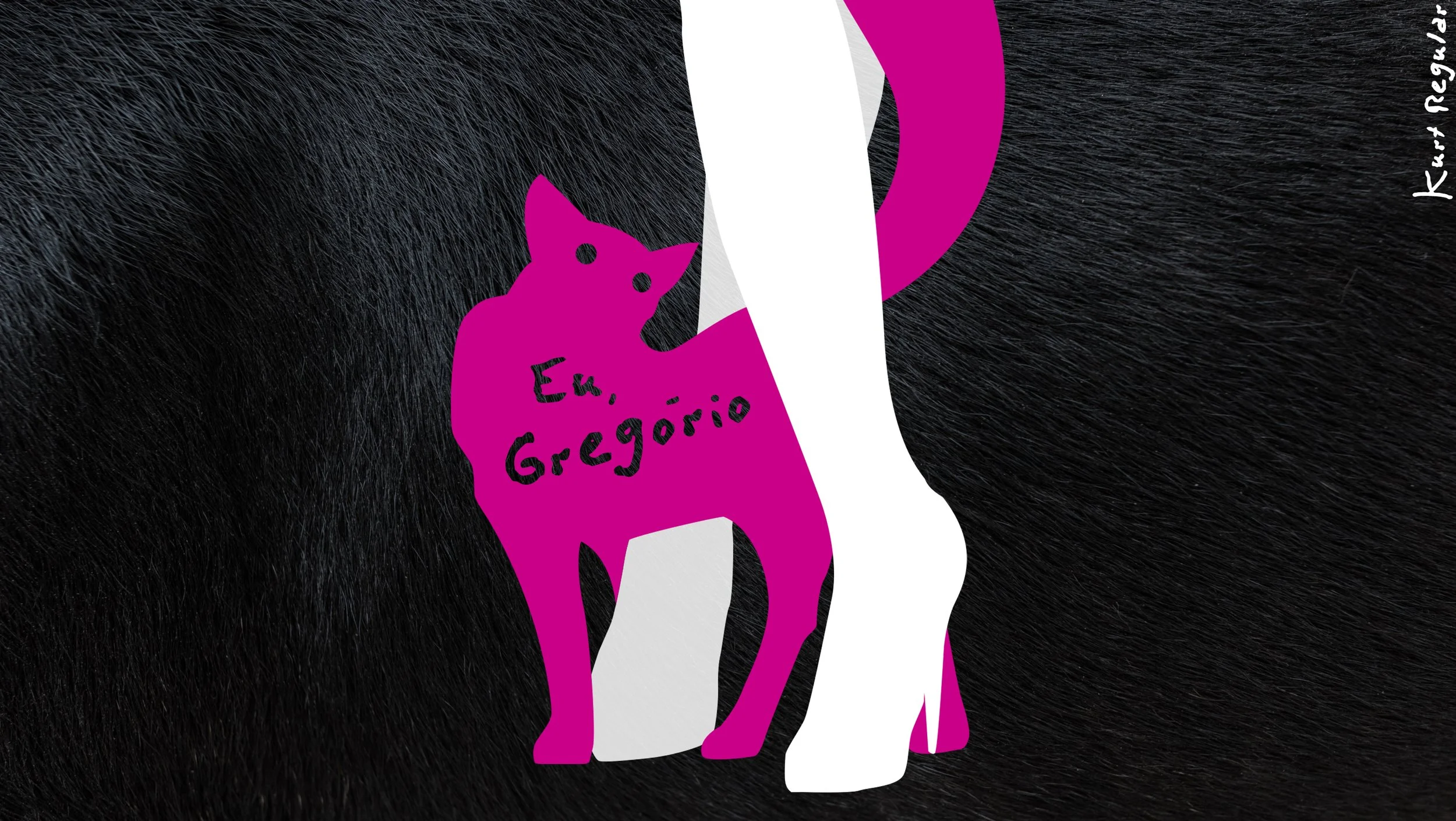 ok_0001_gato02.jpg