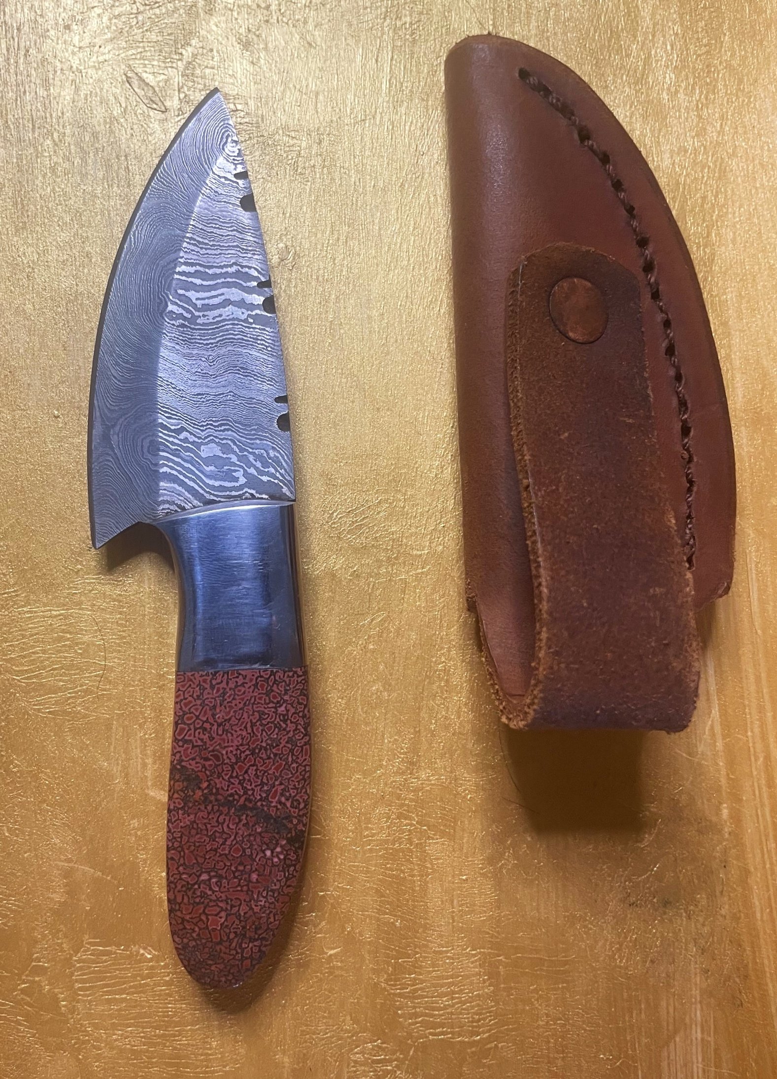 Dinosaur Gem Bone Handle Damascus Knife with Leather Holster - 3.5" Blade x 3.5" Handle