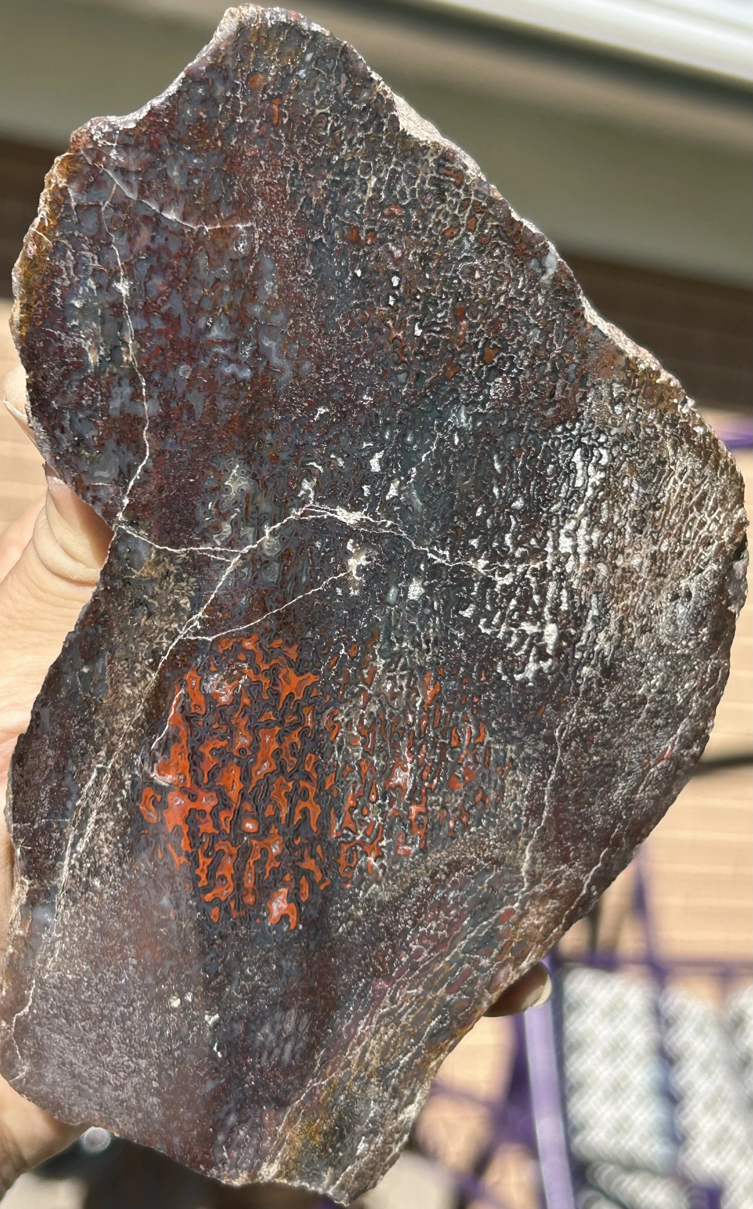 Large Dinosaur Gem Bone Slab - Stabilized