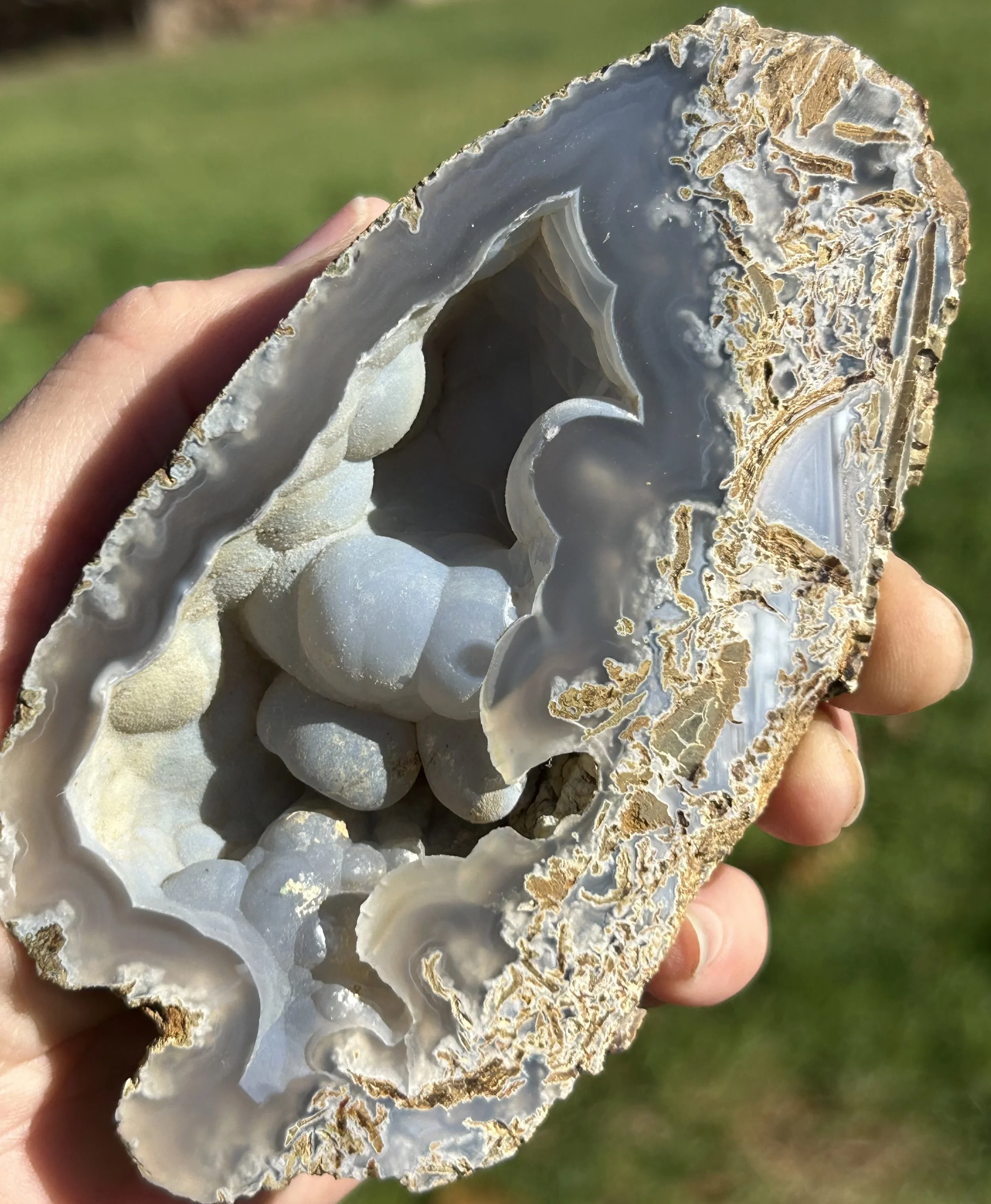 Botryoidal Beacon Hill Agate - Scenic Agate