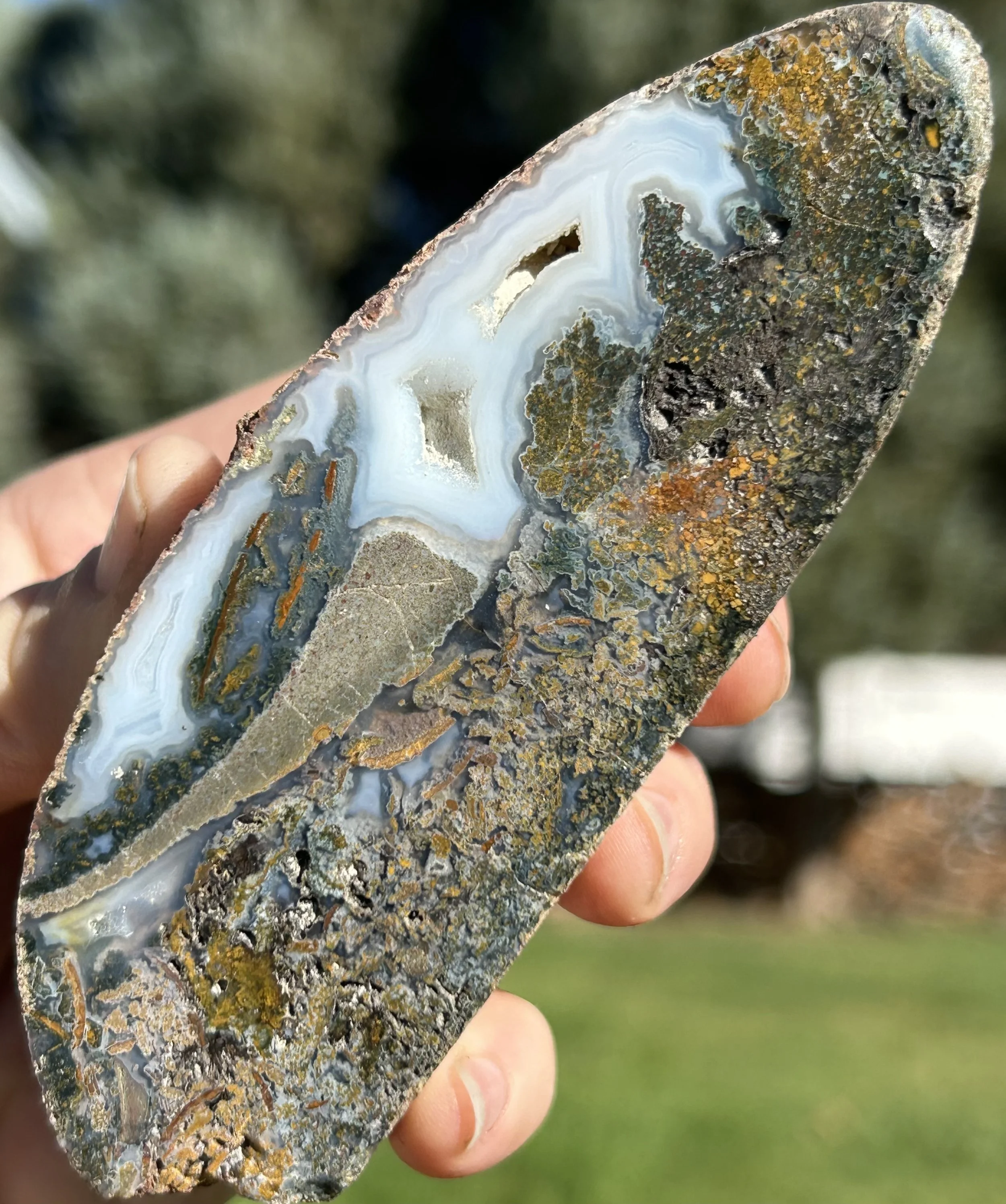 Beacon Hill Agate - Partially Polished Scenic Agate