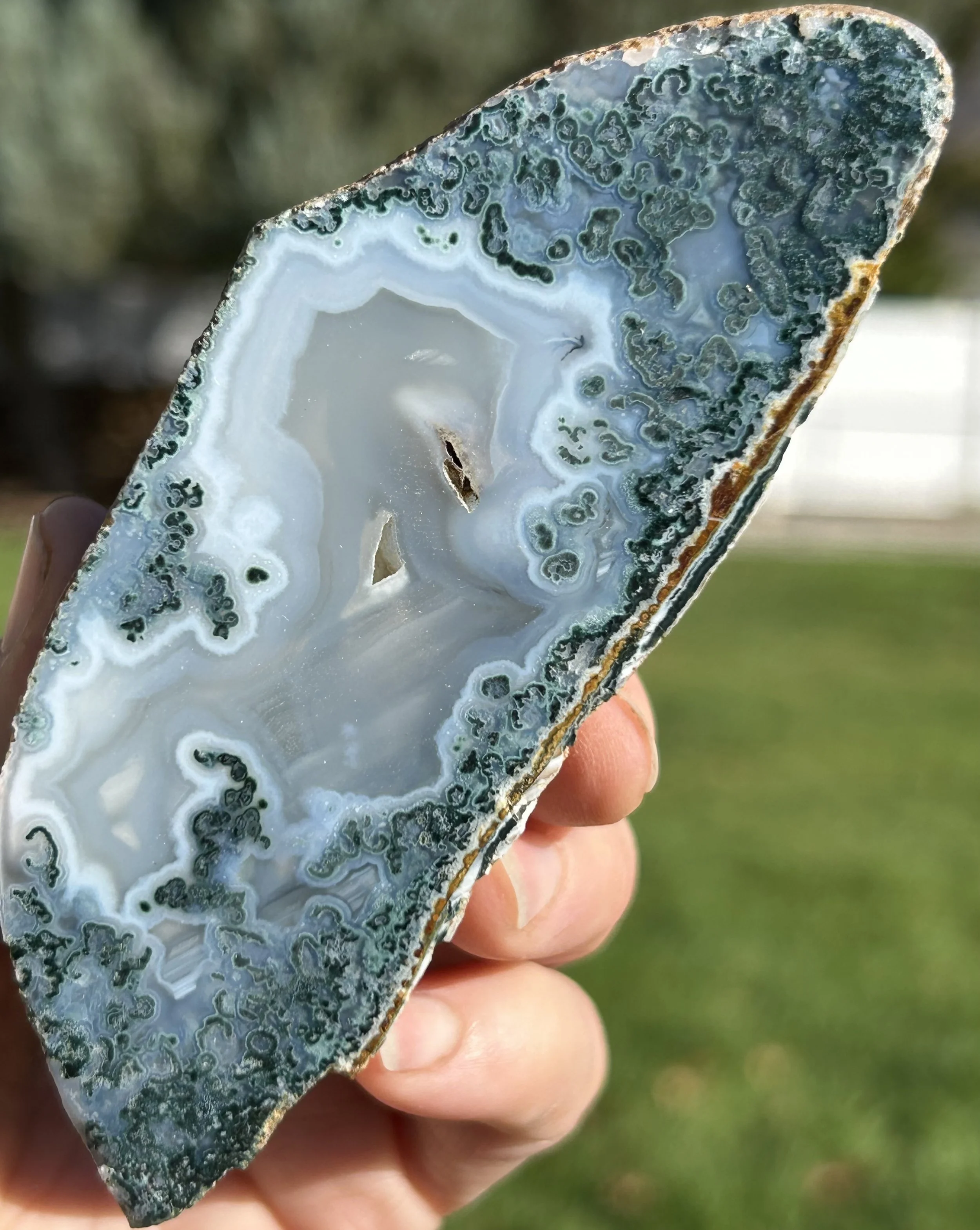 Beacon Hill Agate Partially Polished - Scenic Agate