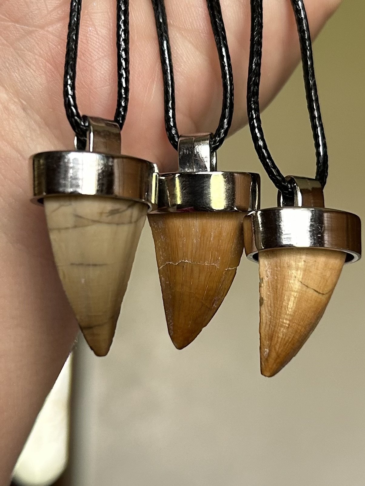Mosasaur Tooth Necklace