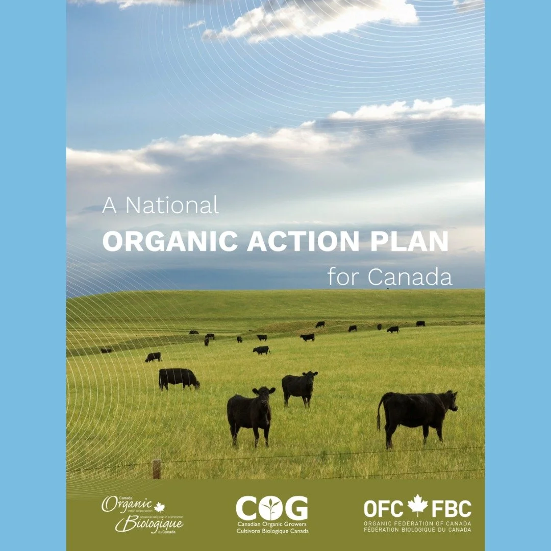 ROCA is proud to be a partner in Canada&rsquo;s new Organic Action Plan, and we&rsquo;re thankful to the Canadian Organic Alliance for including us in this important work.

Organic food and farming represent one of the most promising growth opportuni