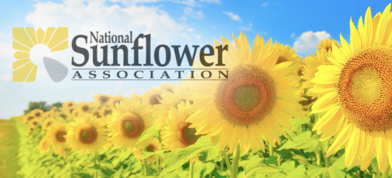 Screenshot 2024-05-22 at 2.17.47 PM.png