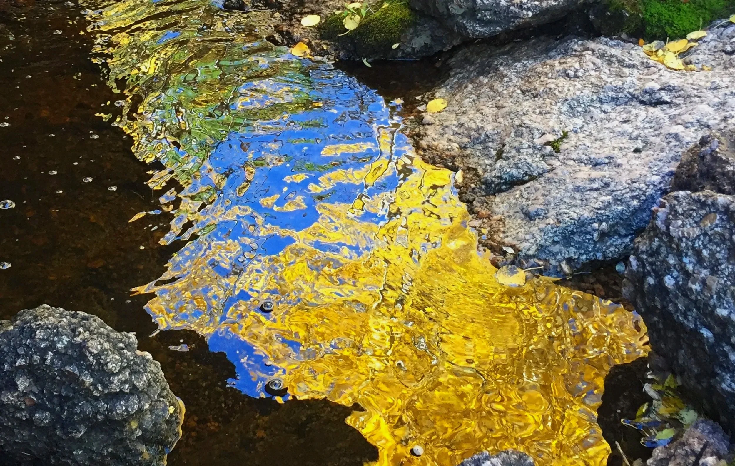 Gold+Aspen+Leaves+Reflection+.jpg