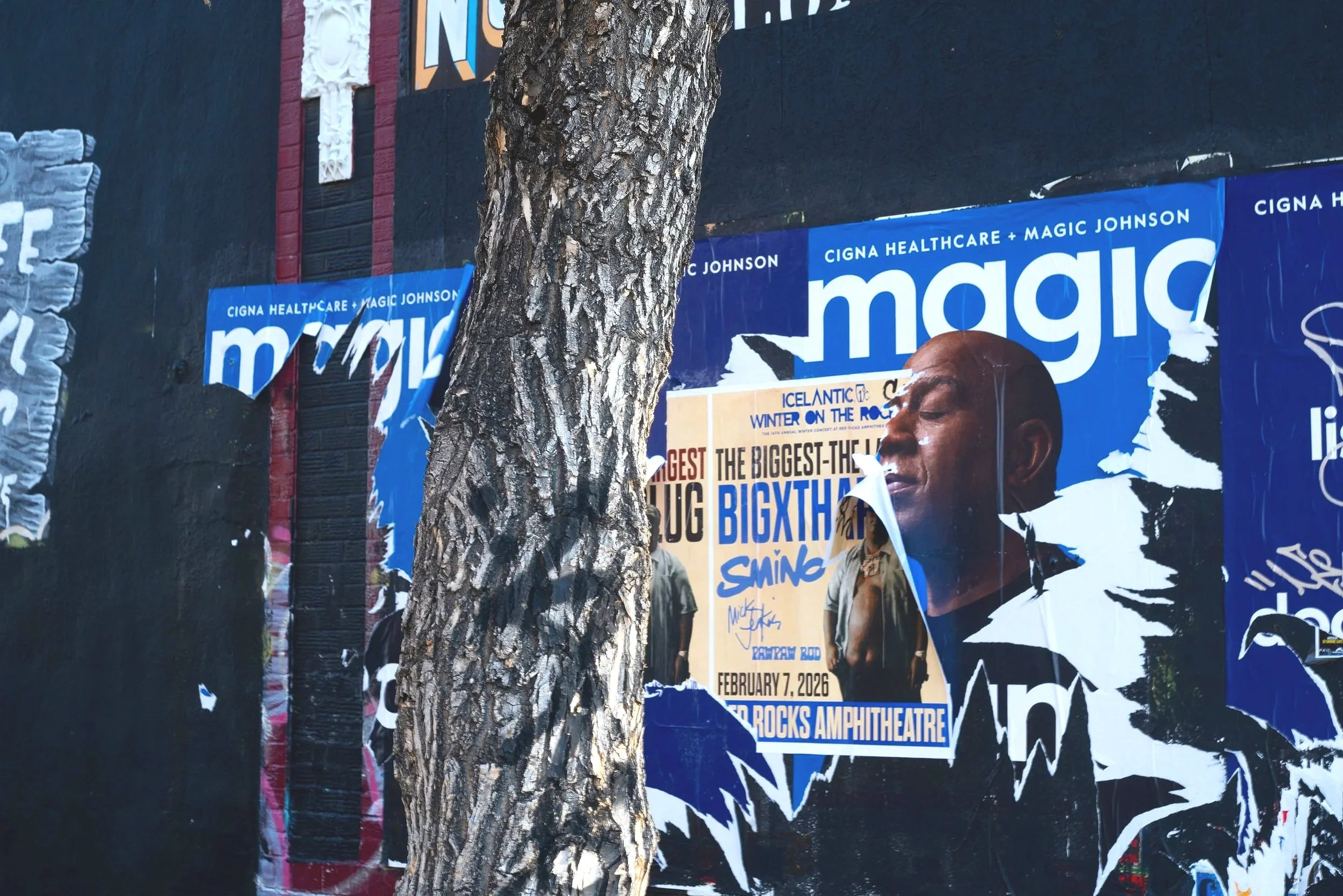 Magic+Poster+Tree.jpg