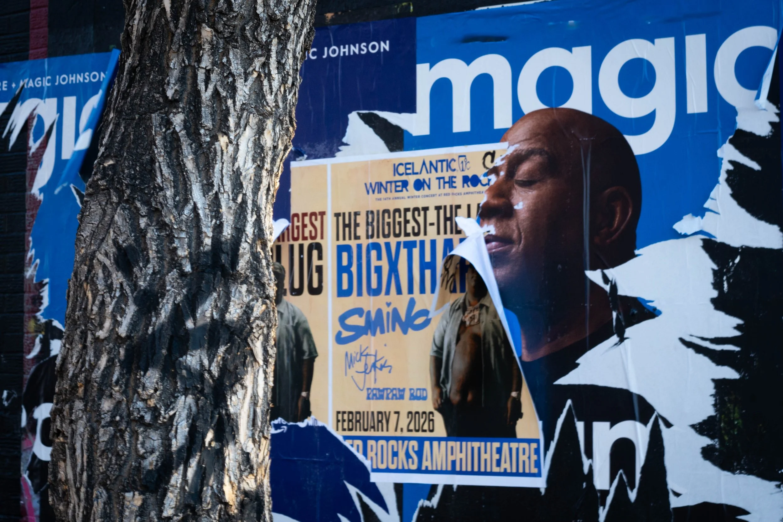 Magic Poster Tree-3.jpg