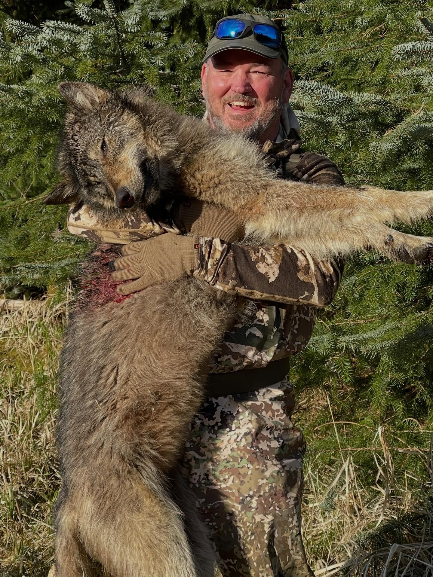 2026 season is just around the corner and we&rsquo;re gearing up for our first black bear hunt, wolves on the radar too #wolfhunting #blackbearhunting #brownbearhunting #yachtbasedhunts #alaskaravenguides