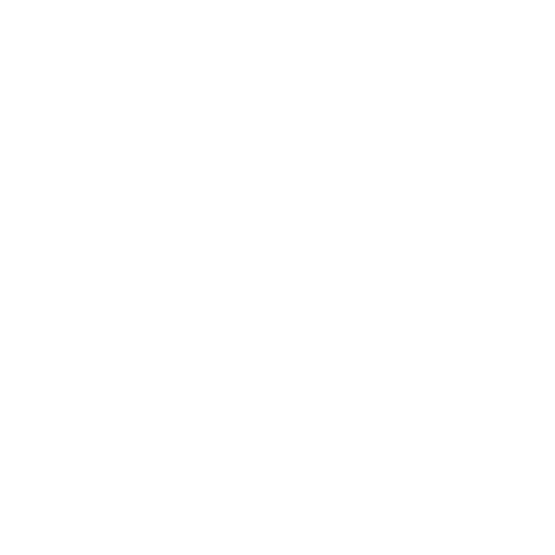 BL Burgers