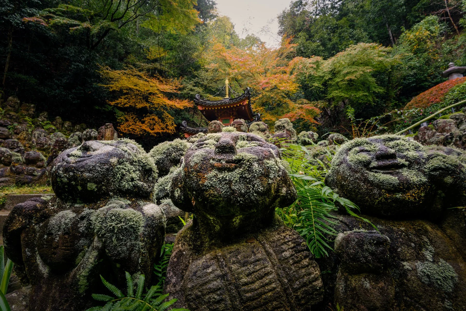 Japan.Workshop.1800px-5.jpg