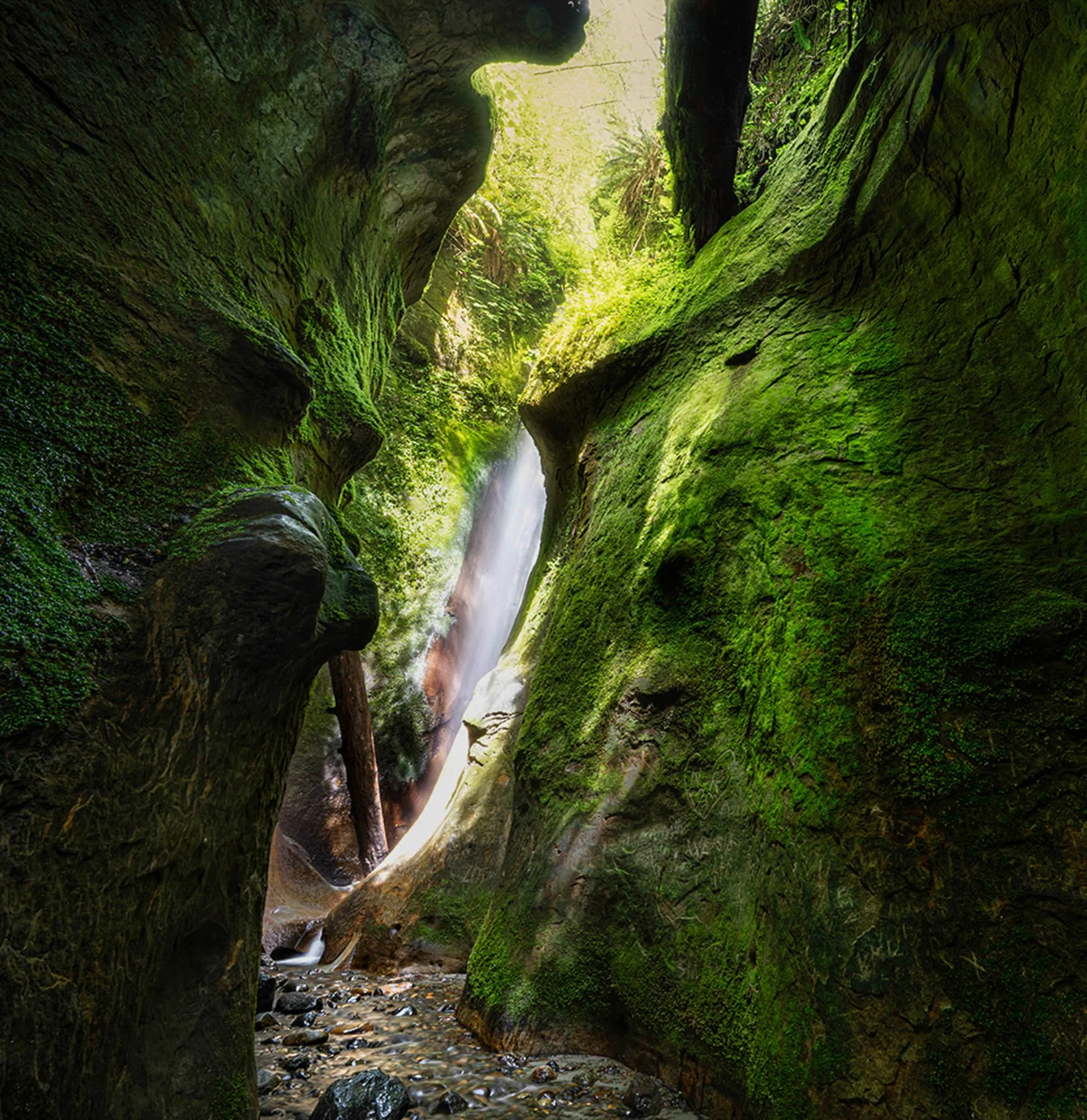 VancouverIsland.1800px-7.jpg