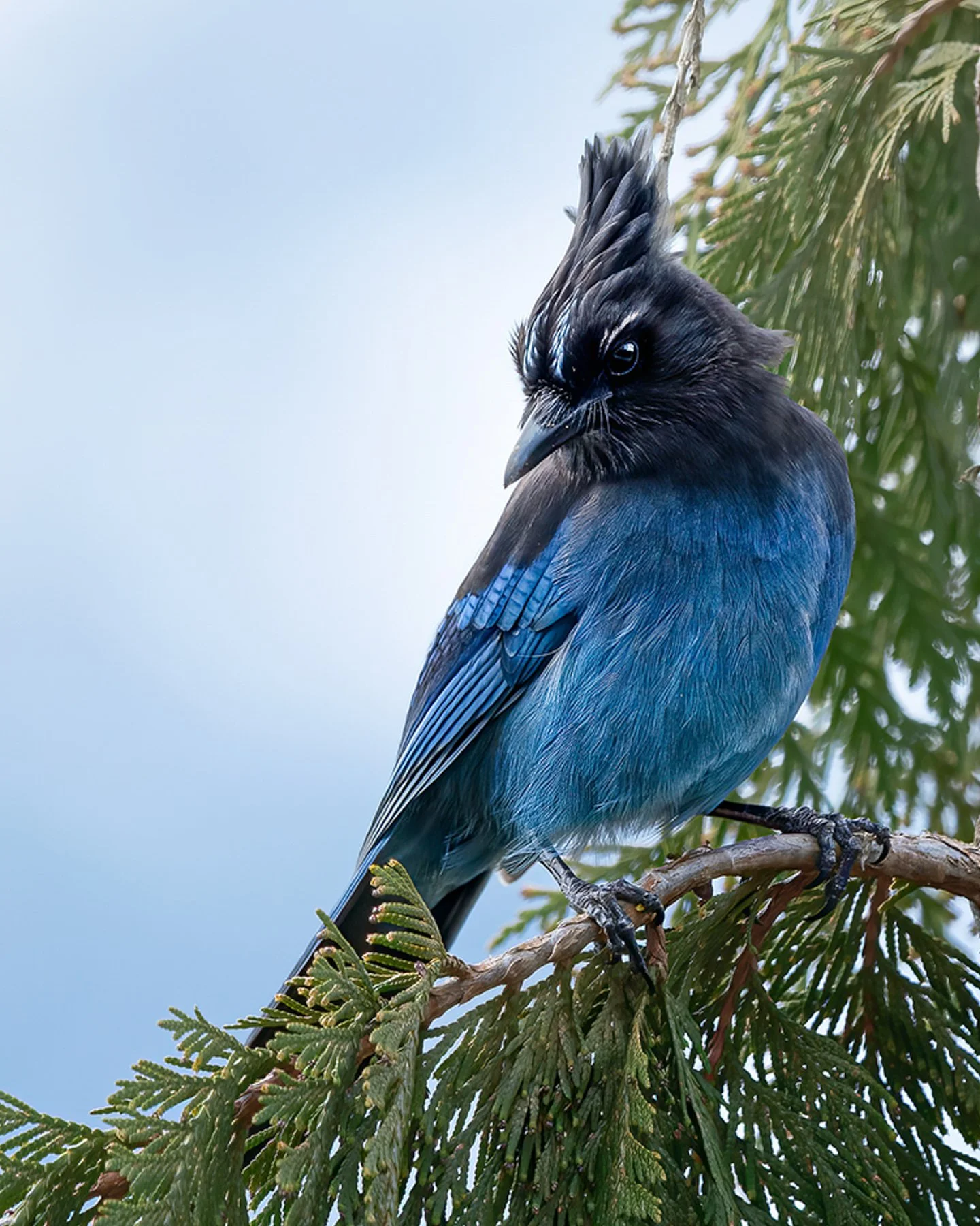 VancouverIsland.1800px-8.jpg