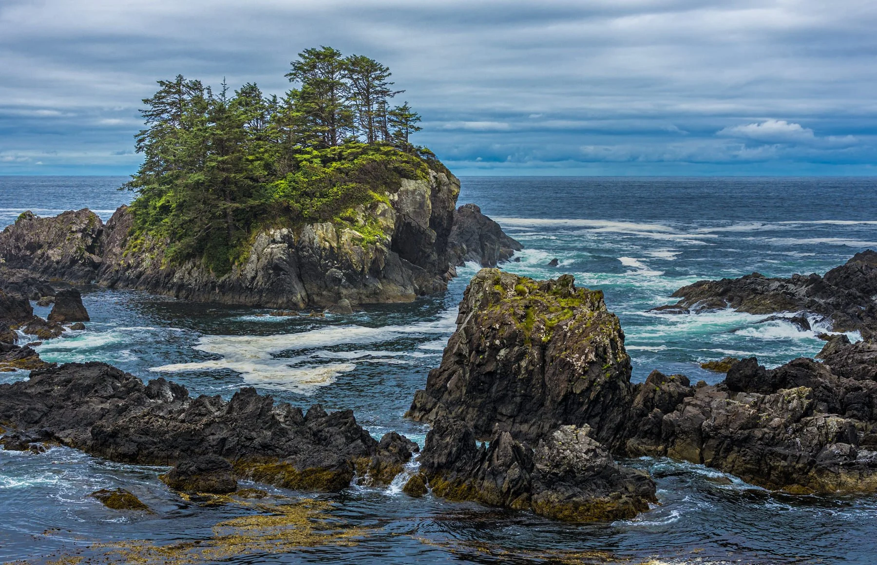 VancouverIsland.1800px-24.jpg