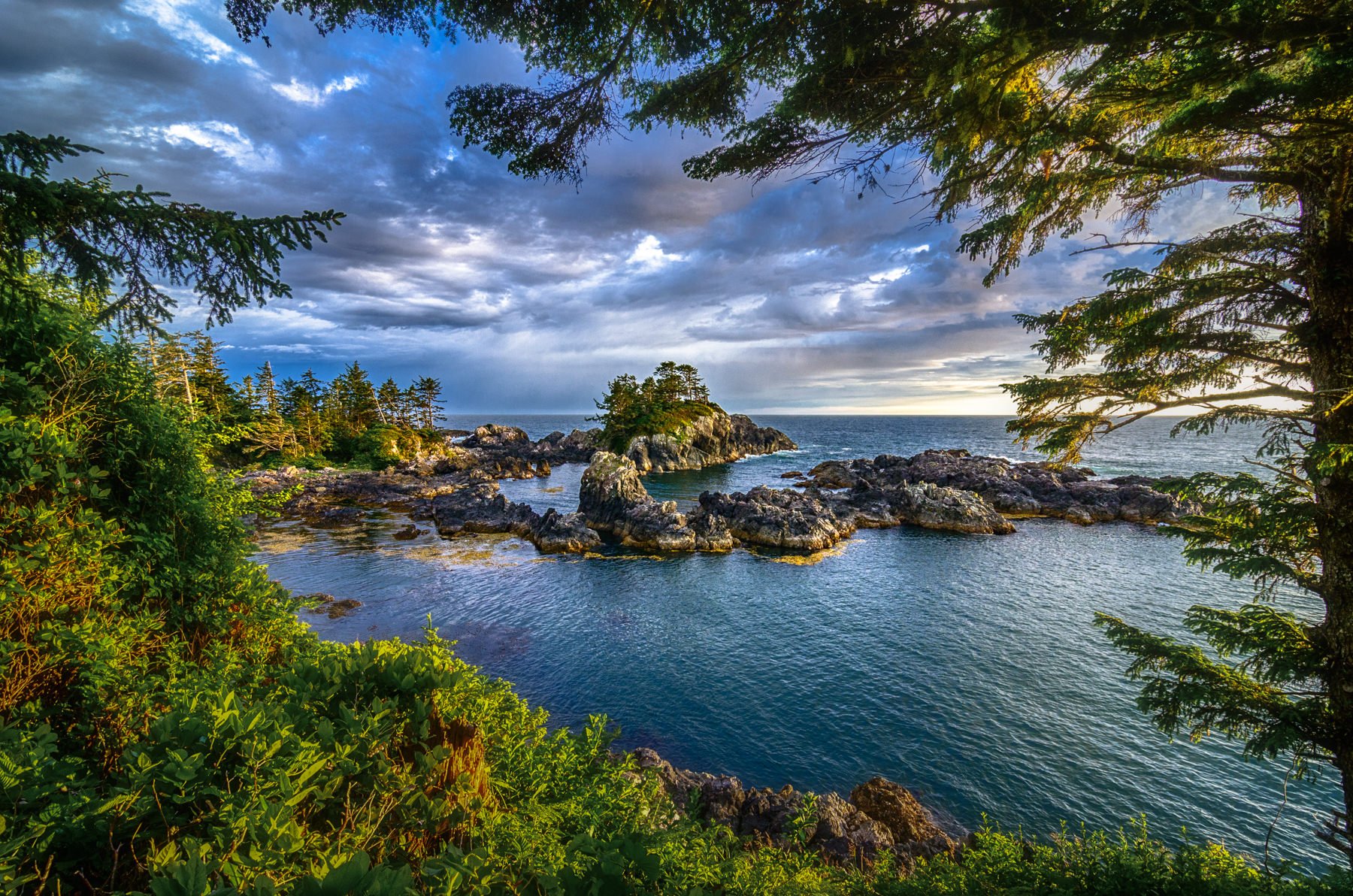 VancouverIsland.1800px-29.jpg