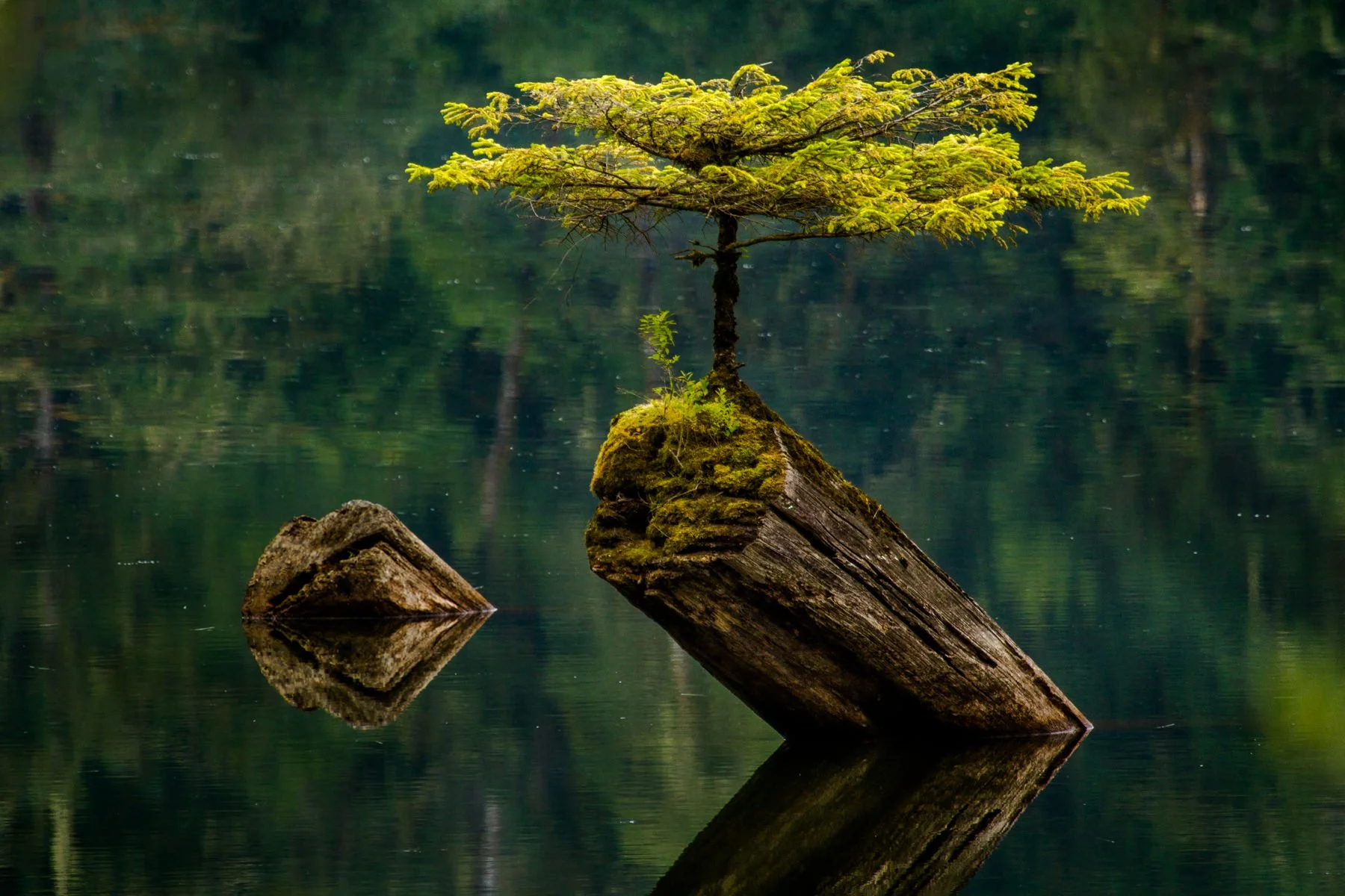 VancouverIsland.1800px-1-2.jpg