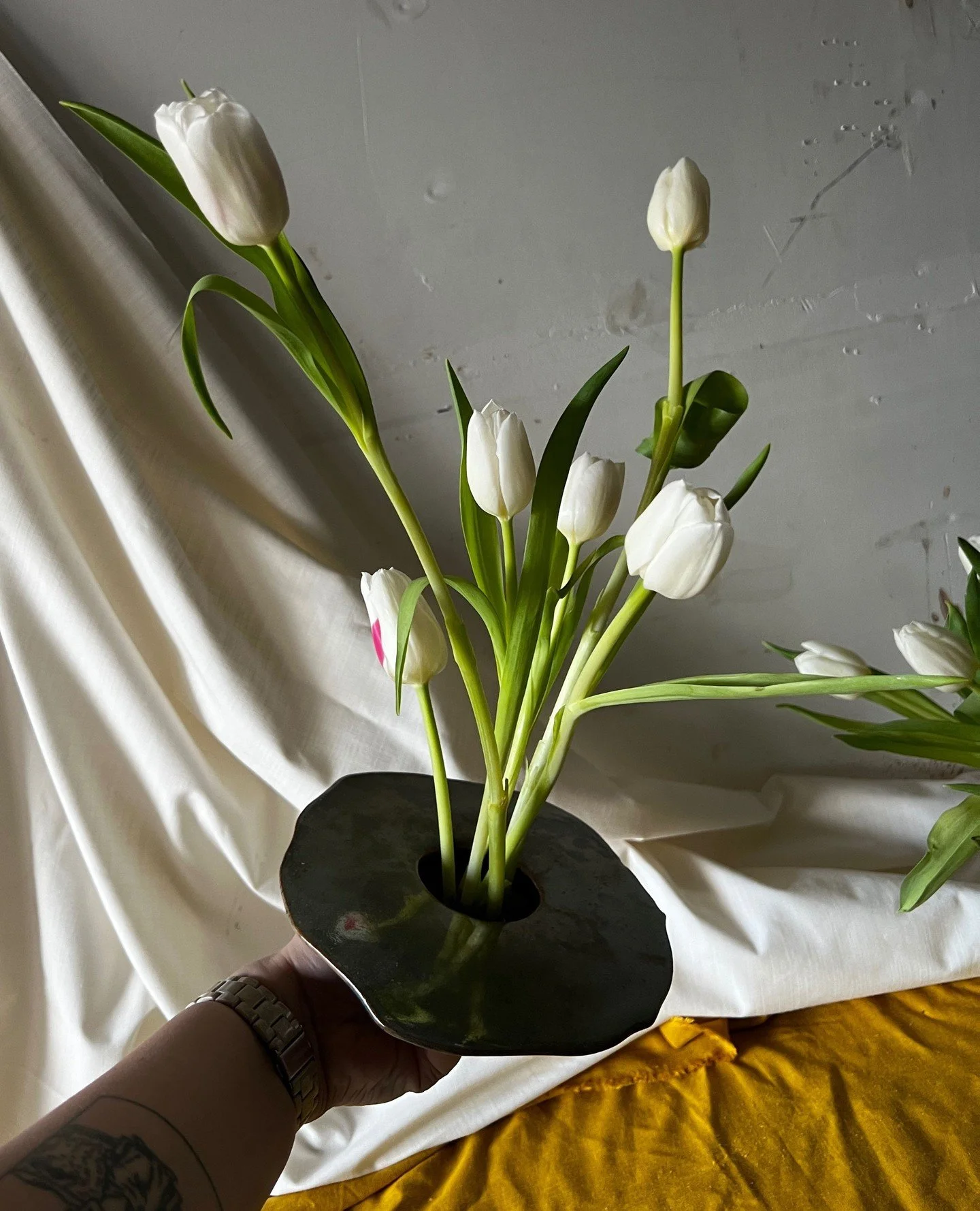 A last pass before heading to her new home 🌷