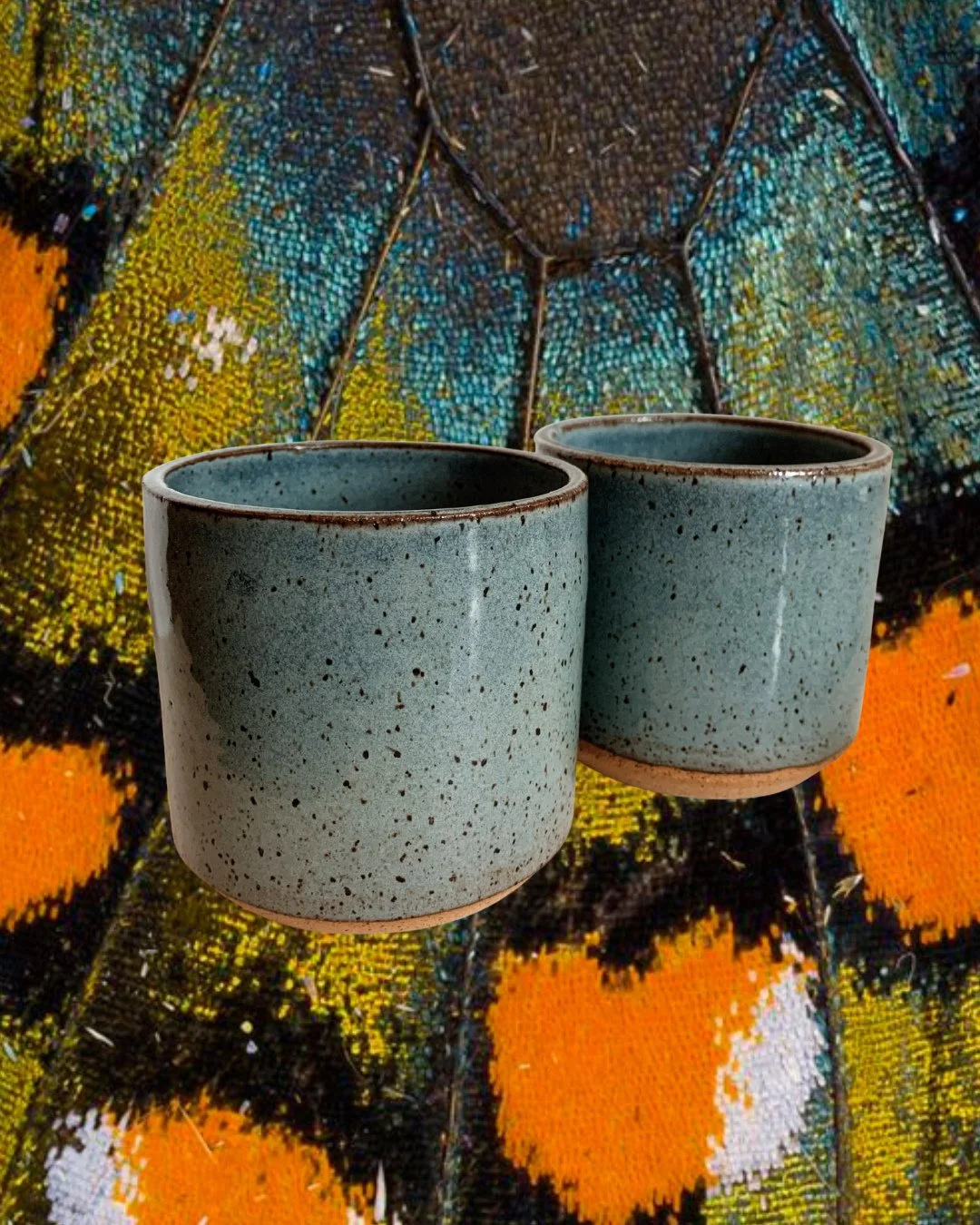 A lil' high desert for your sunniest corner 🌱