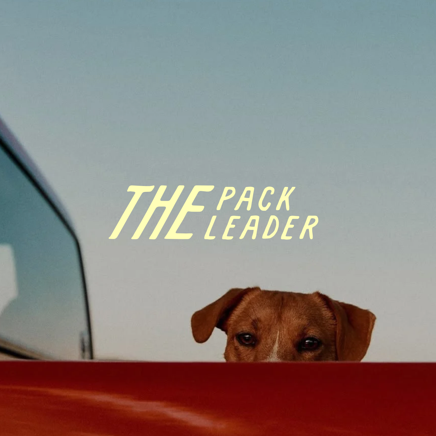 Brown dog peeking over a red surface beneath the text “The Pack Leader.”
