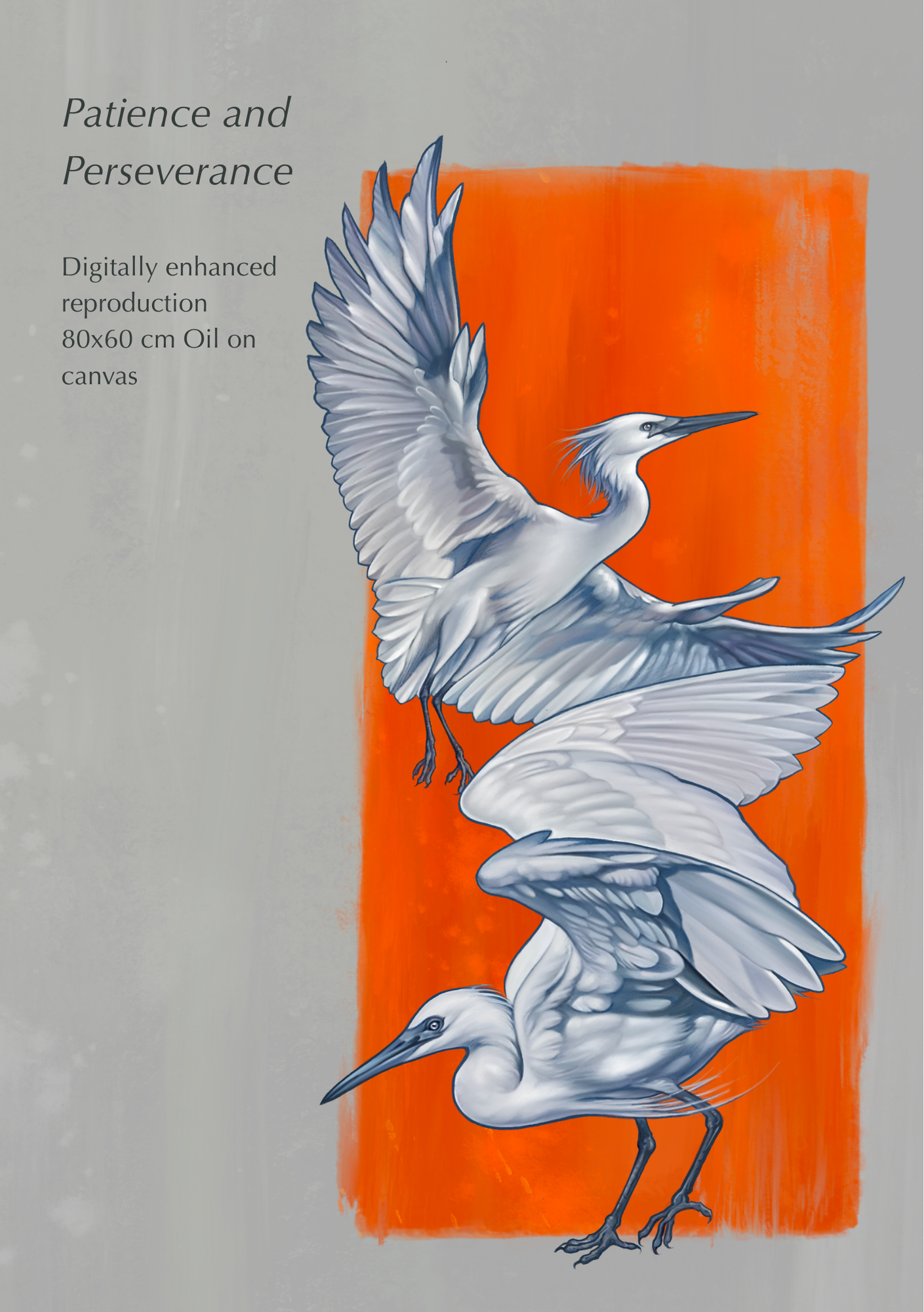 Trade catalogue - 3.png