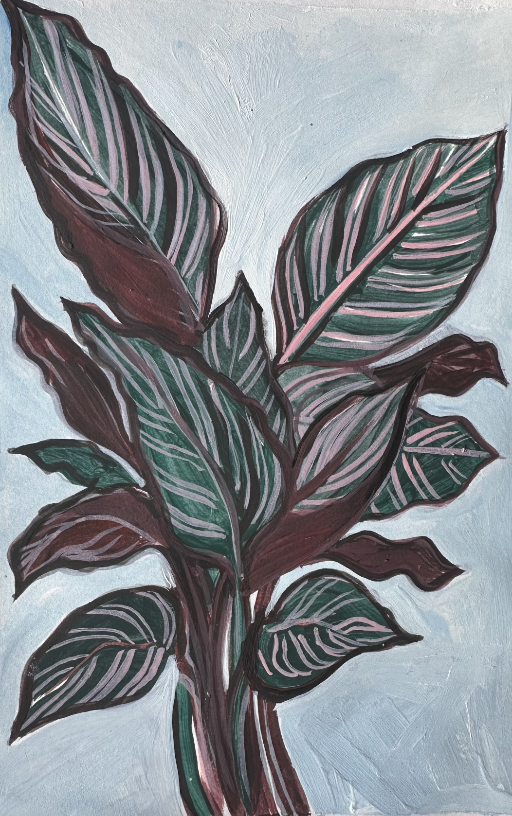 Calathea  - Acrylic & Oil on Art Paper
