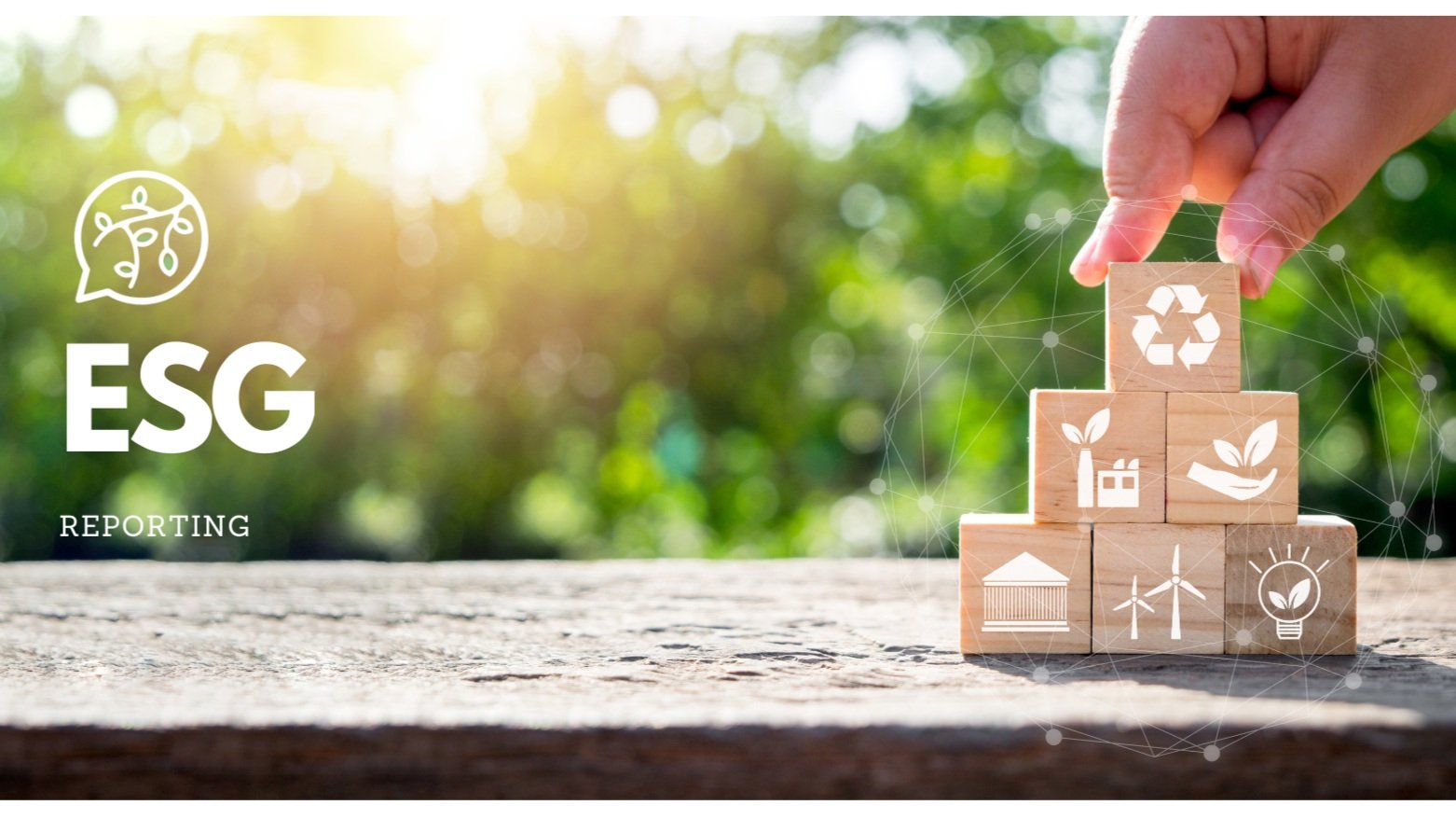 New Climate Disclosure Mandate: Implications for Small Businesses