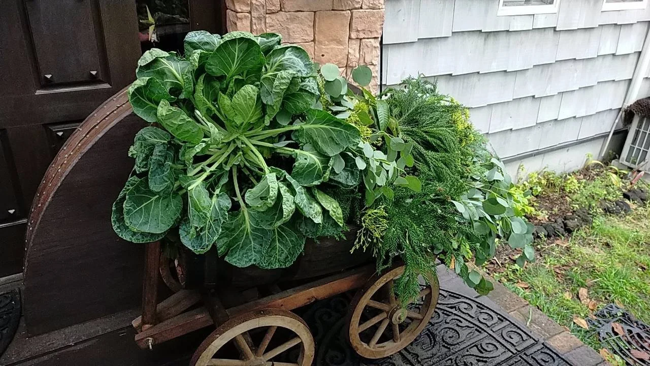 A wheelbarrow decorated with leafy greens and plants