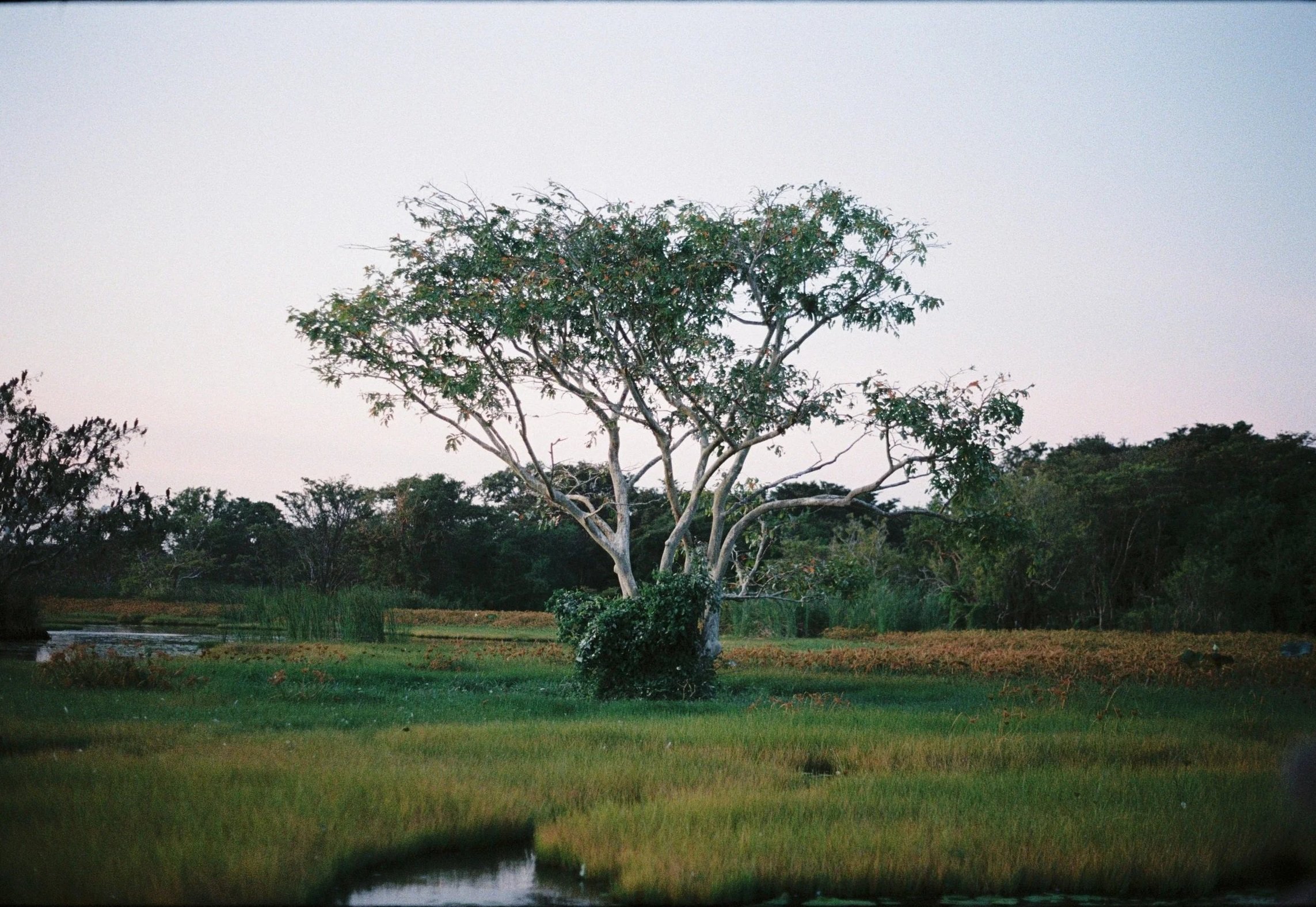 Sri_Lanka_0072.jpg