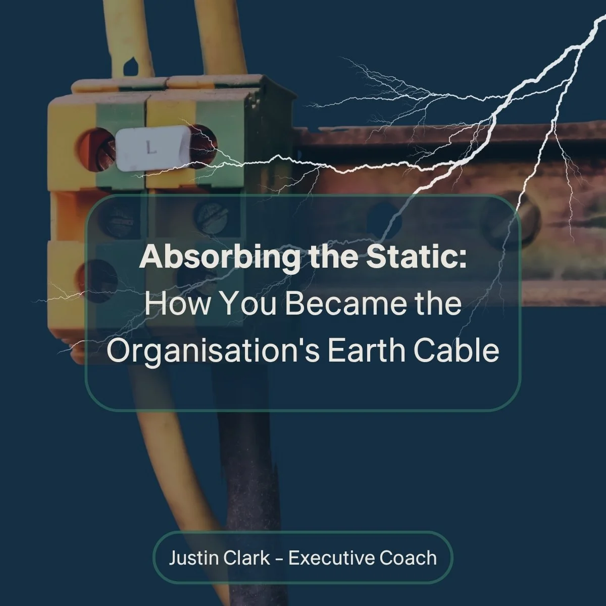 Absorbing the Static: How You Became the Organisation's Earth Cable