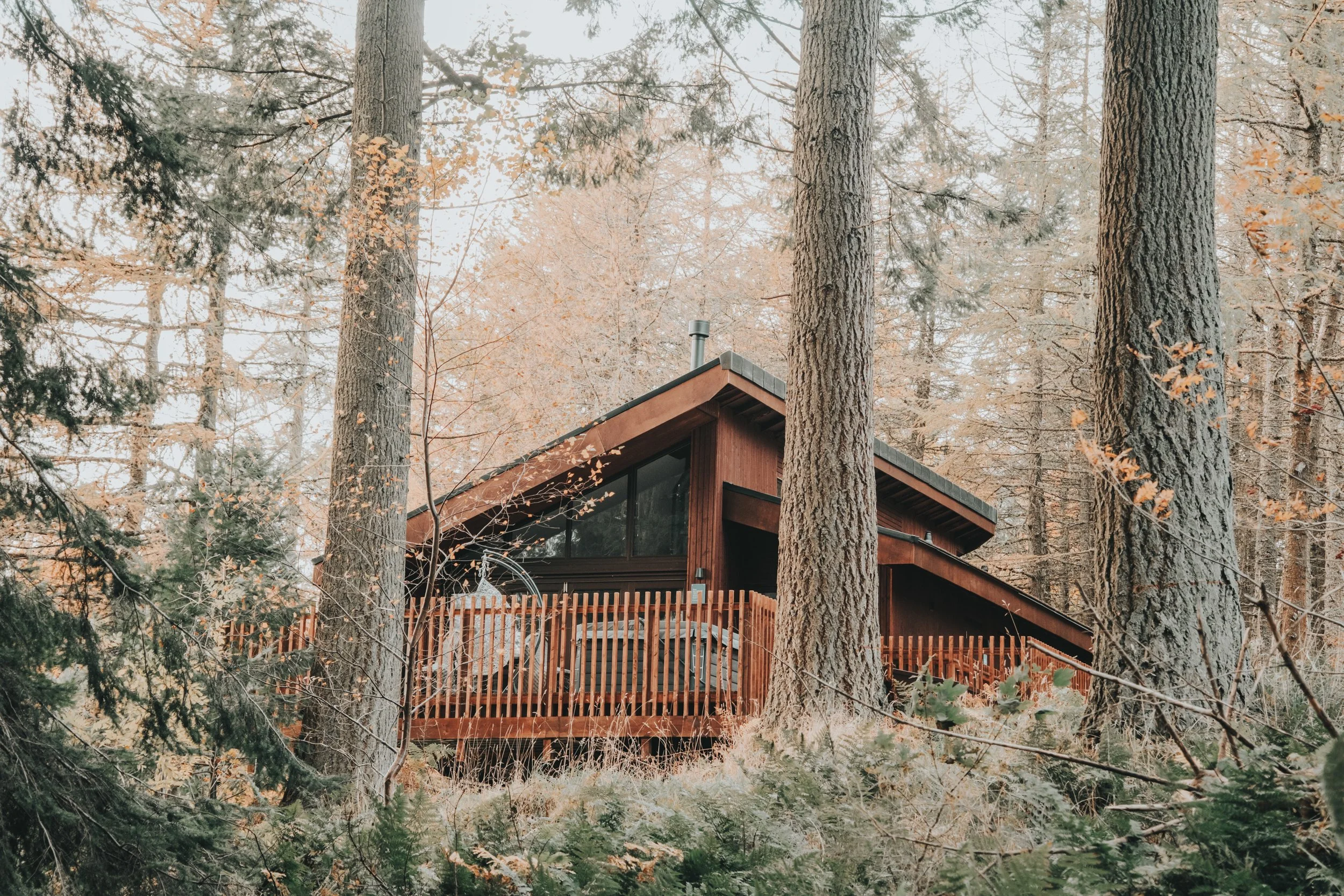 Forest Holidays - FH Low ResresizeDSCF6781.jpg