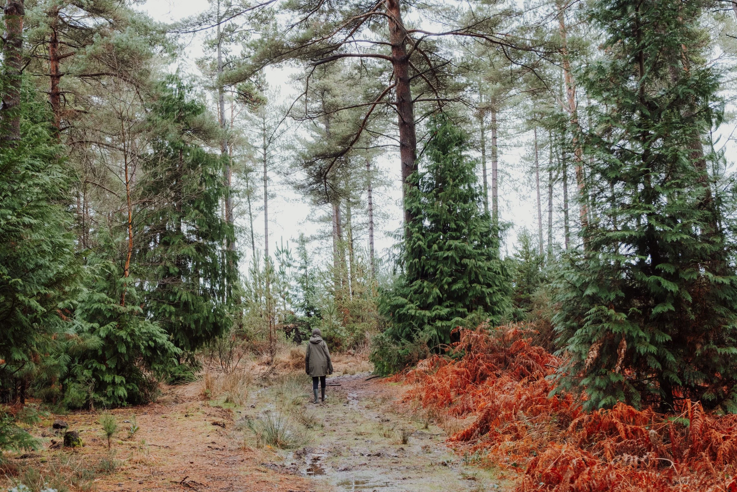 Burnbake Lodge - DSCF8303.jpg