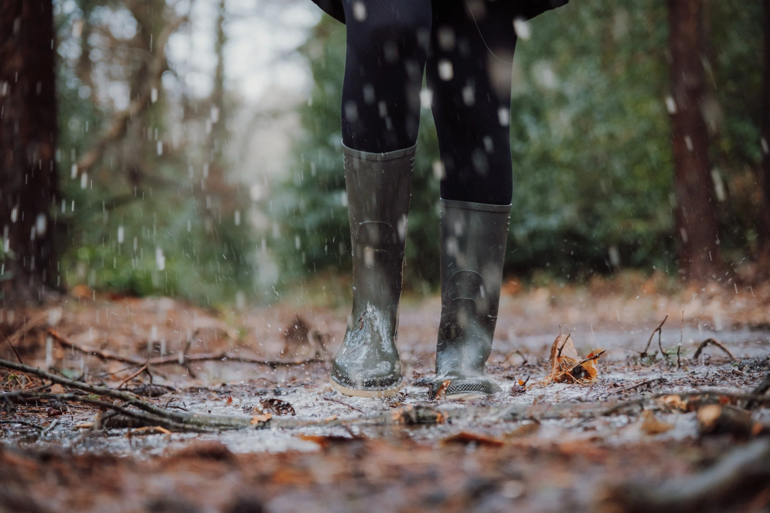 Burnbake Lodge - DSCF8239.jpg