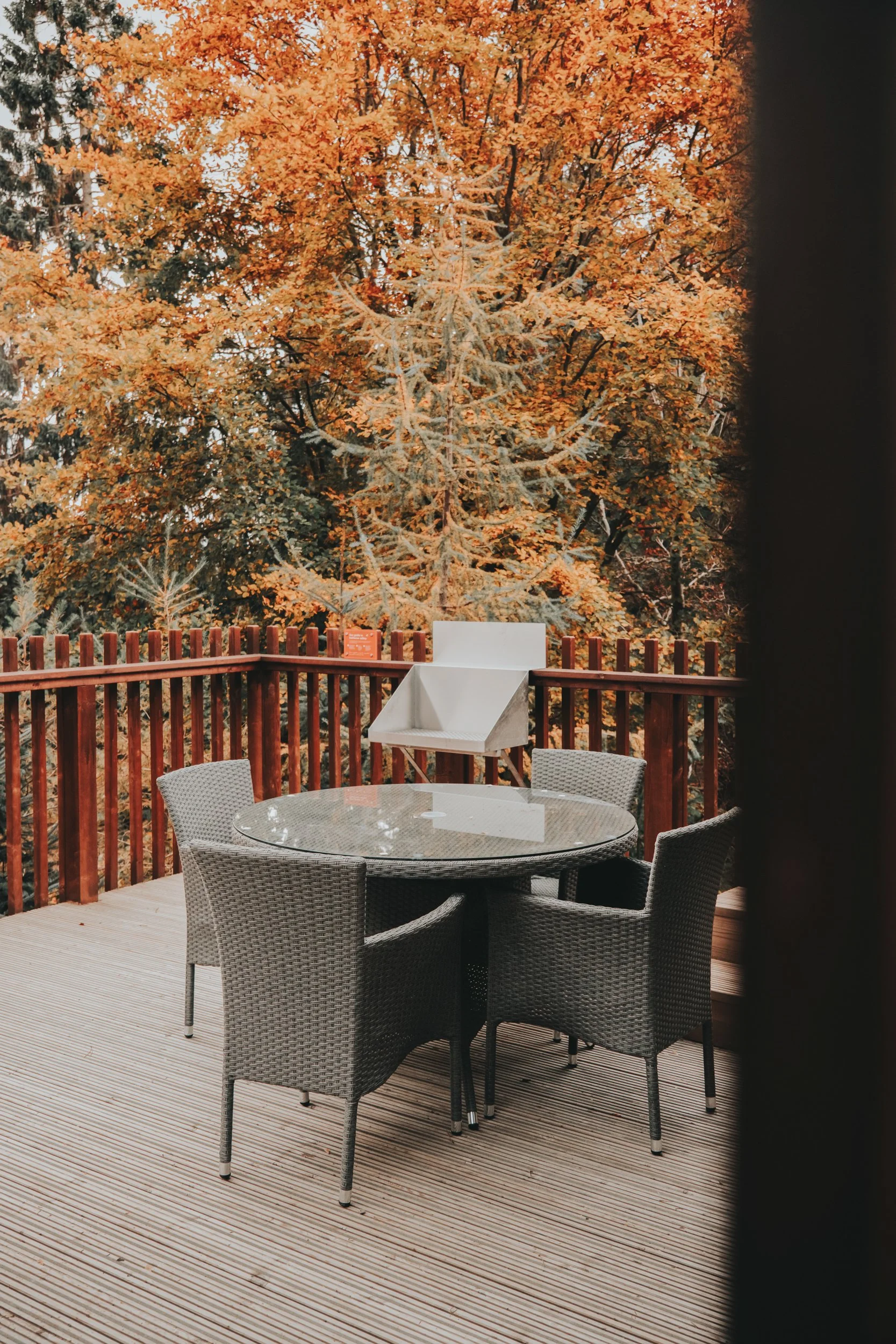 Forest Holidays - FH Low ResresizeDSCF6612.jpg