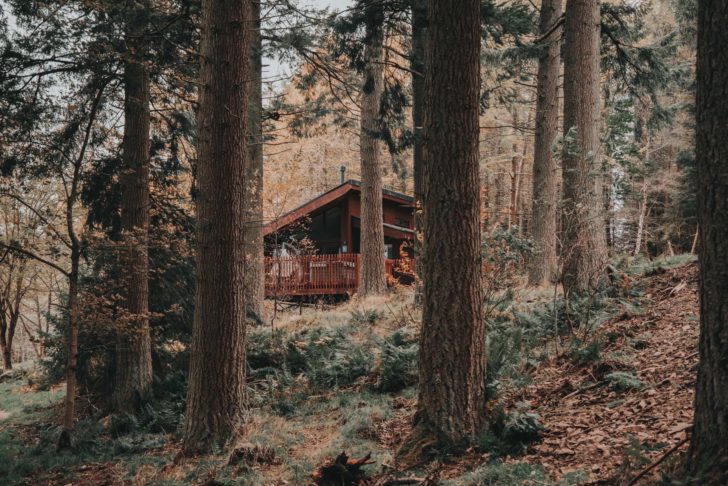 Forest Holidays - FH Low ResresizeDSCF6355.jpg