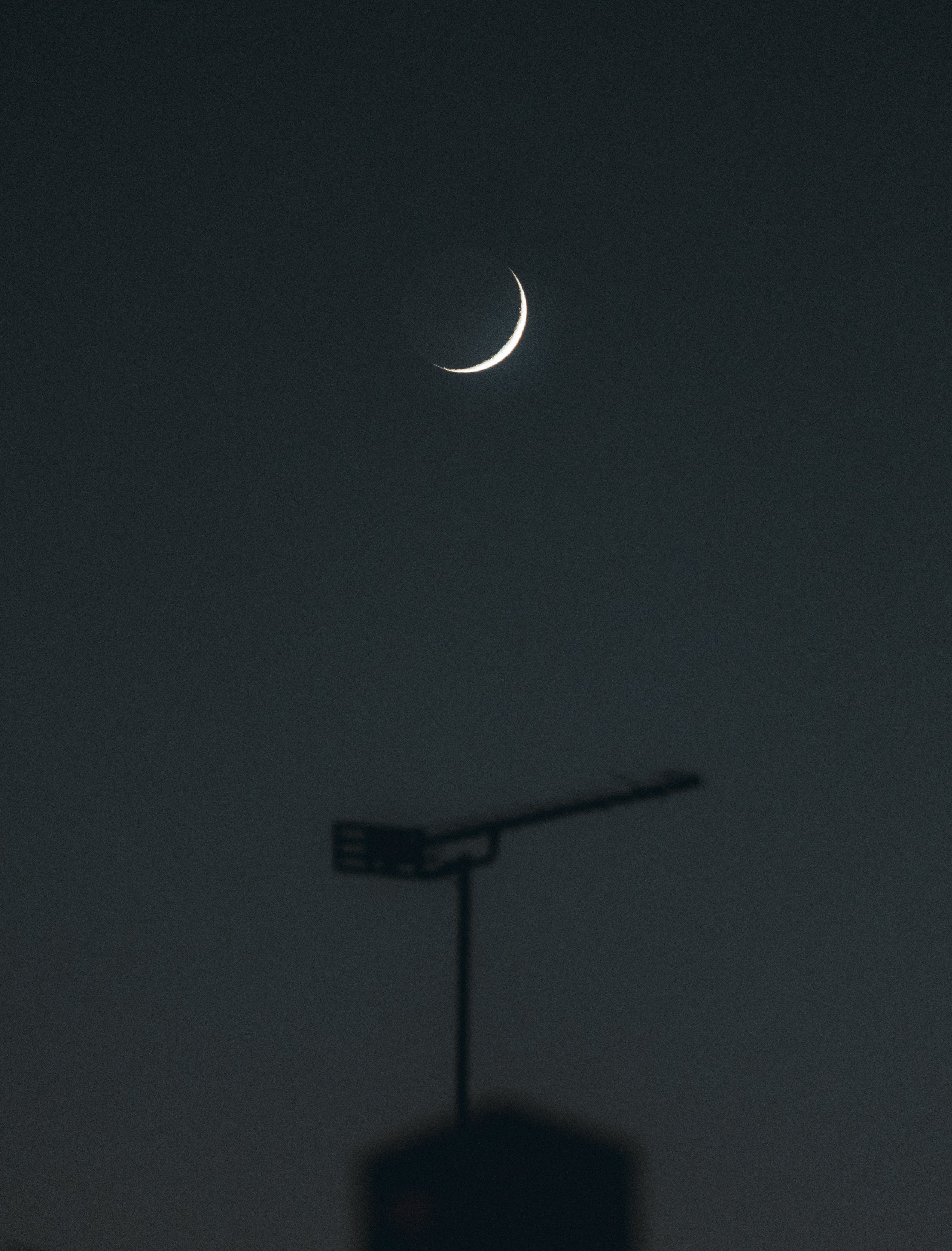 DSCF5372.jpg