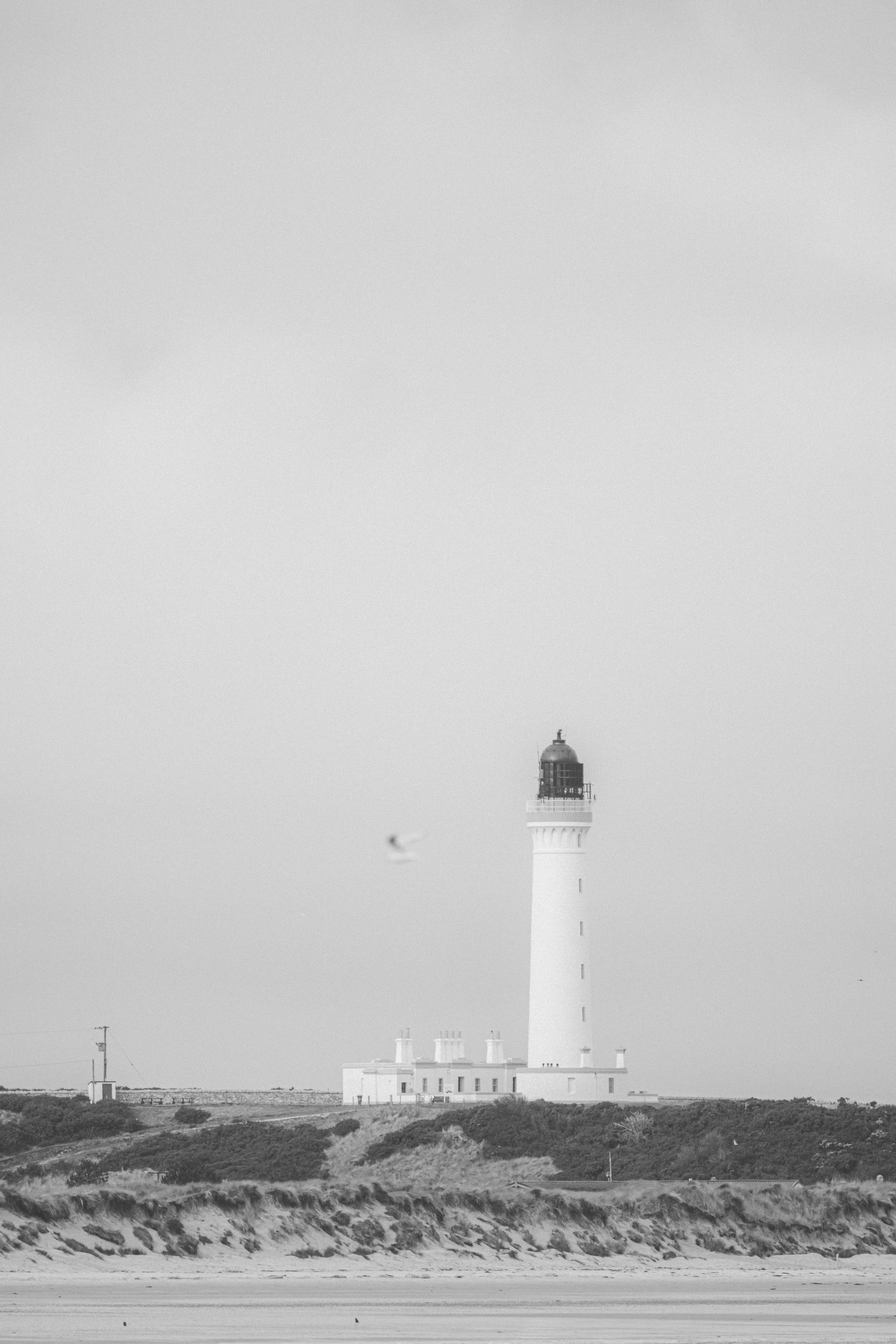 DSCF2784.jpg