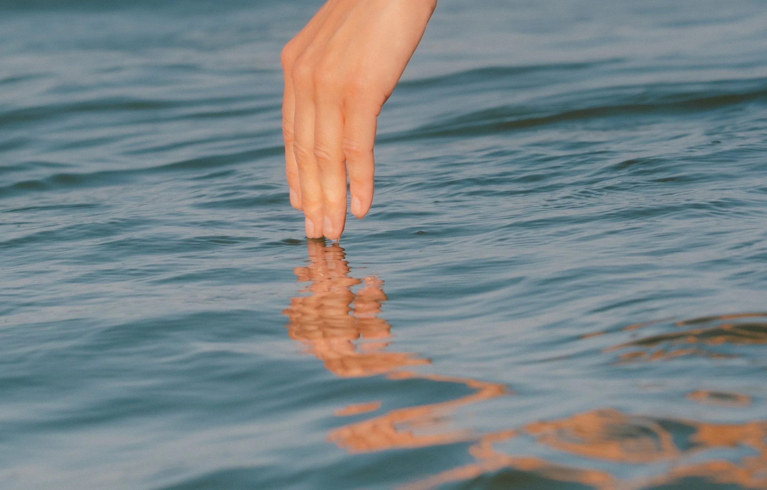 DSCF8786.jpg