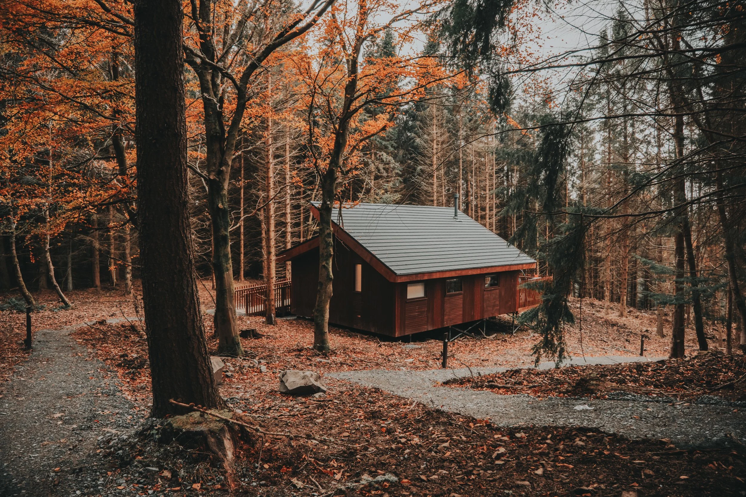 Forest Holidays - FH Low ResresizeDSCF6706.jpg