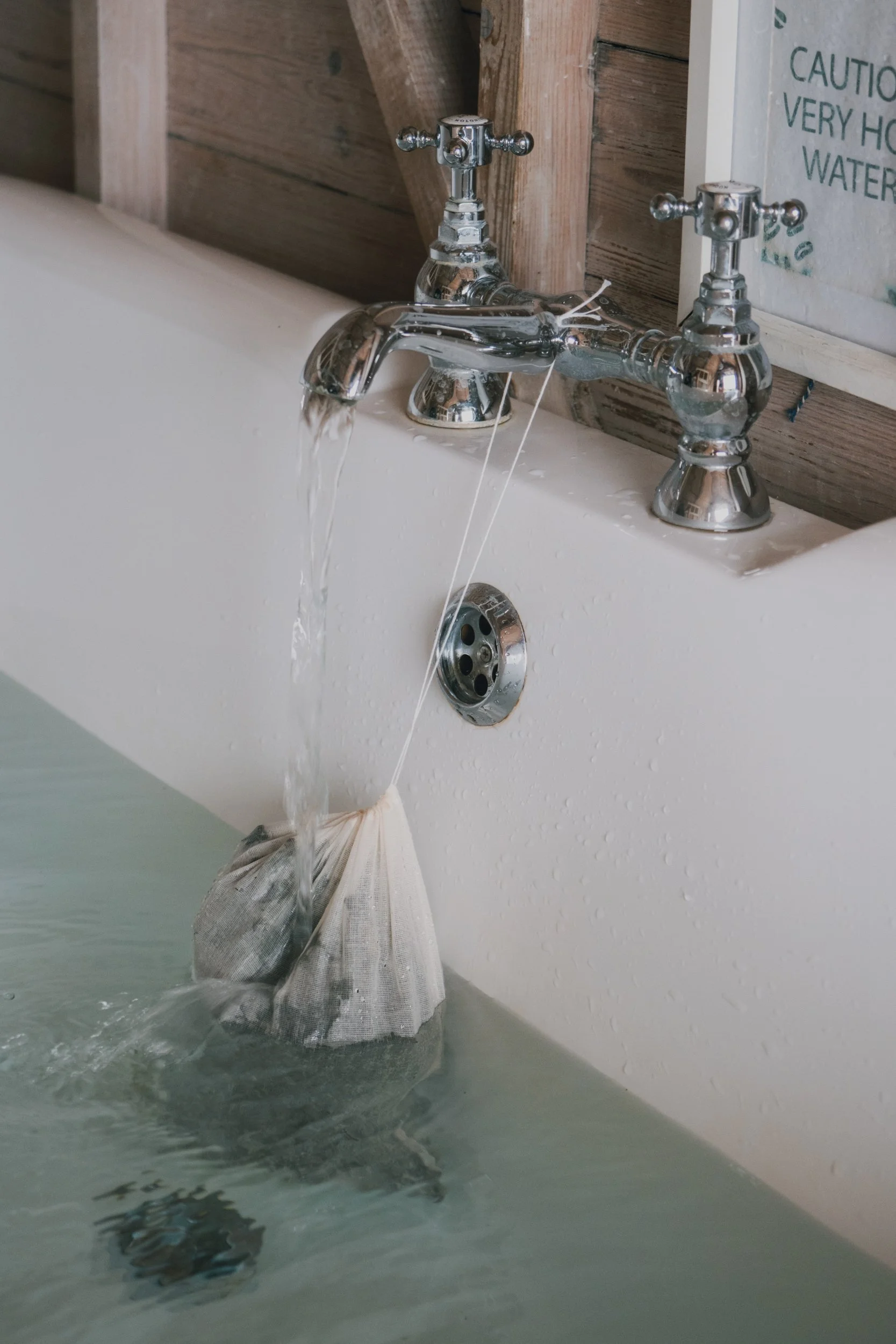 Saeweed DSCF6184.jpg