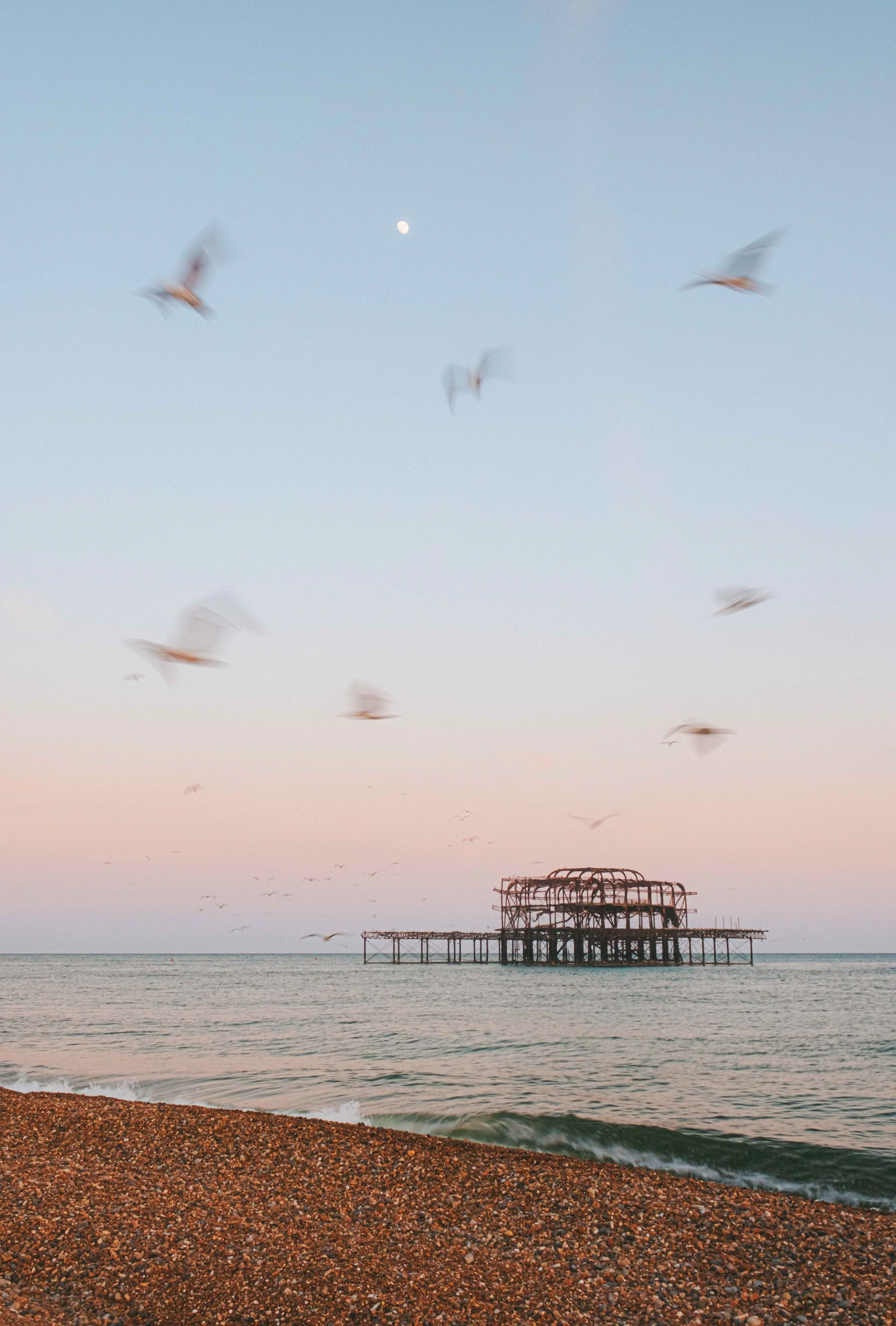 B - Brighton-7108.jpg