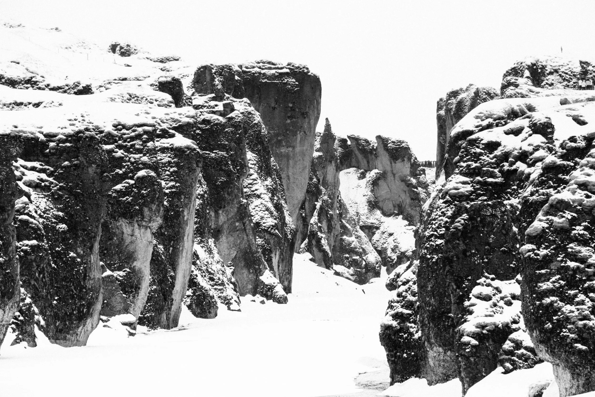 DSCF1085.jpg