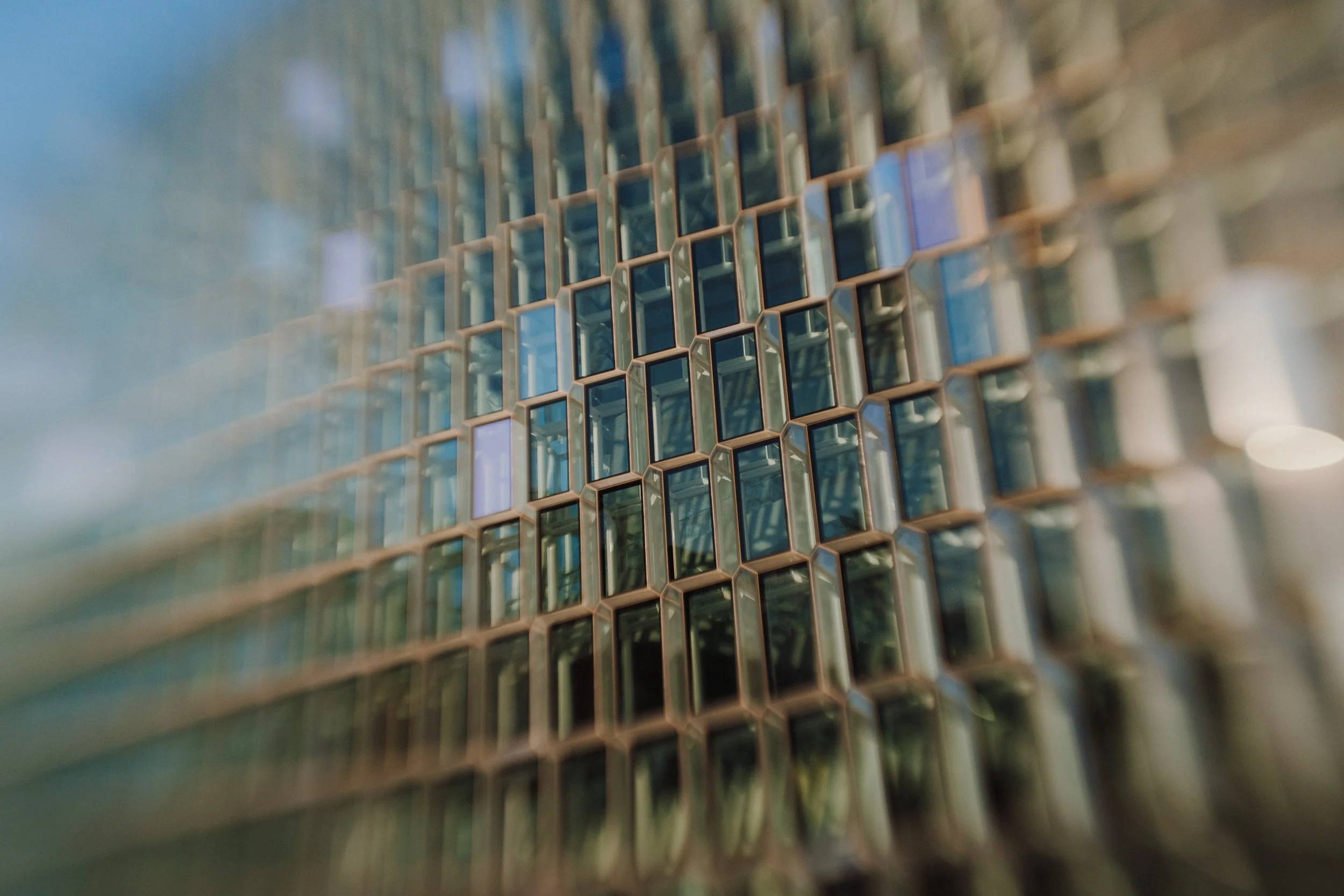 DSCF9861.jpg