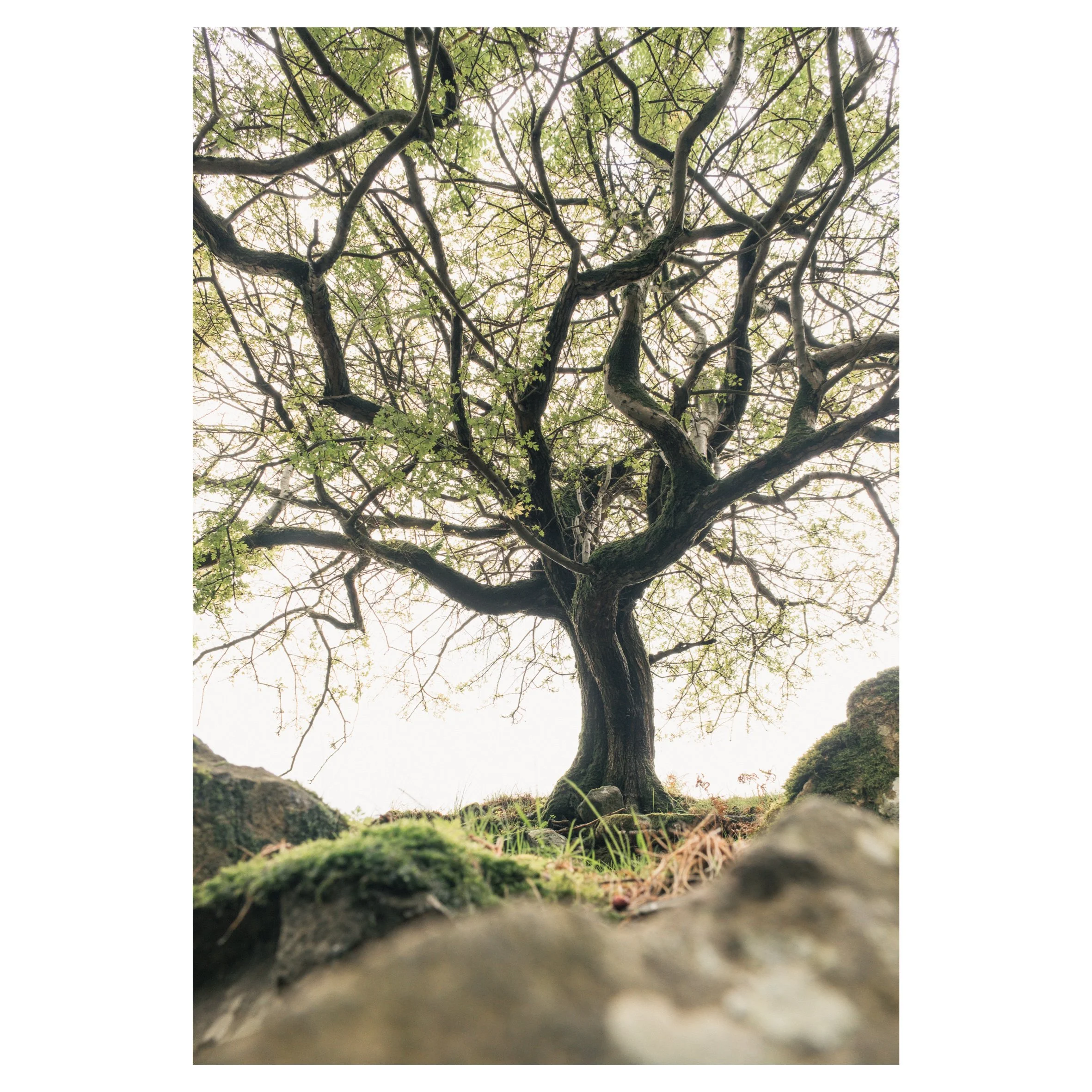 Aber Falls in frames-09.jpg