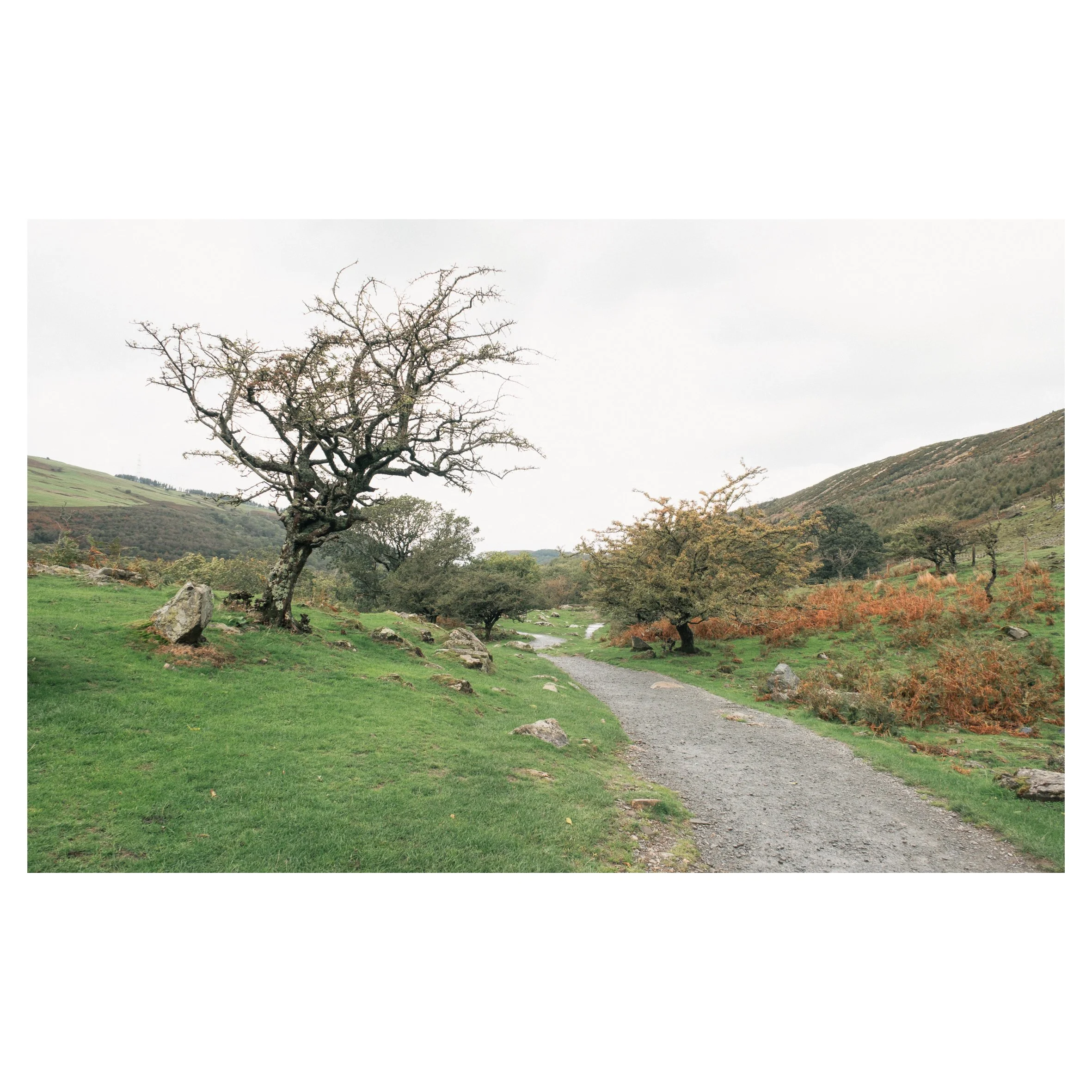 Aber Falls in frames-04.jpg