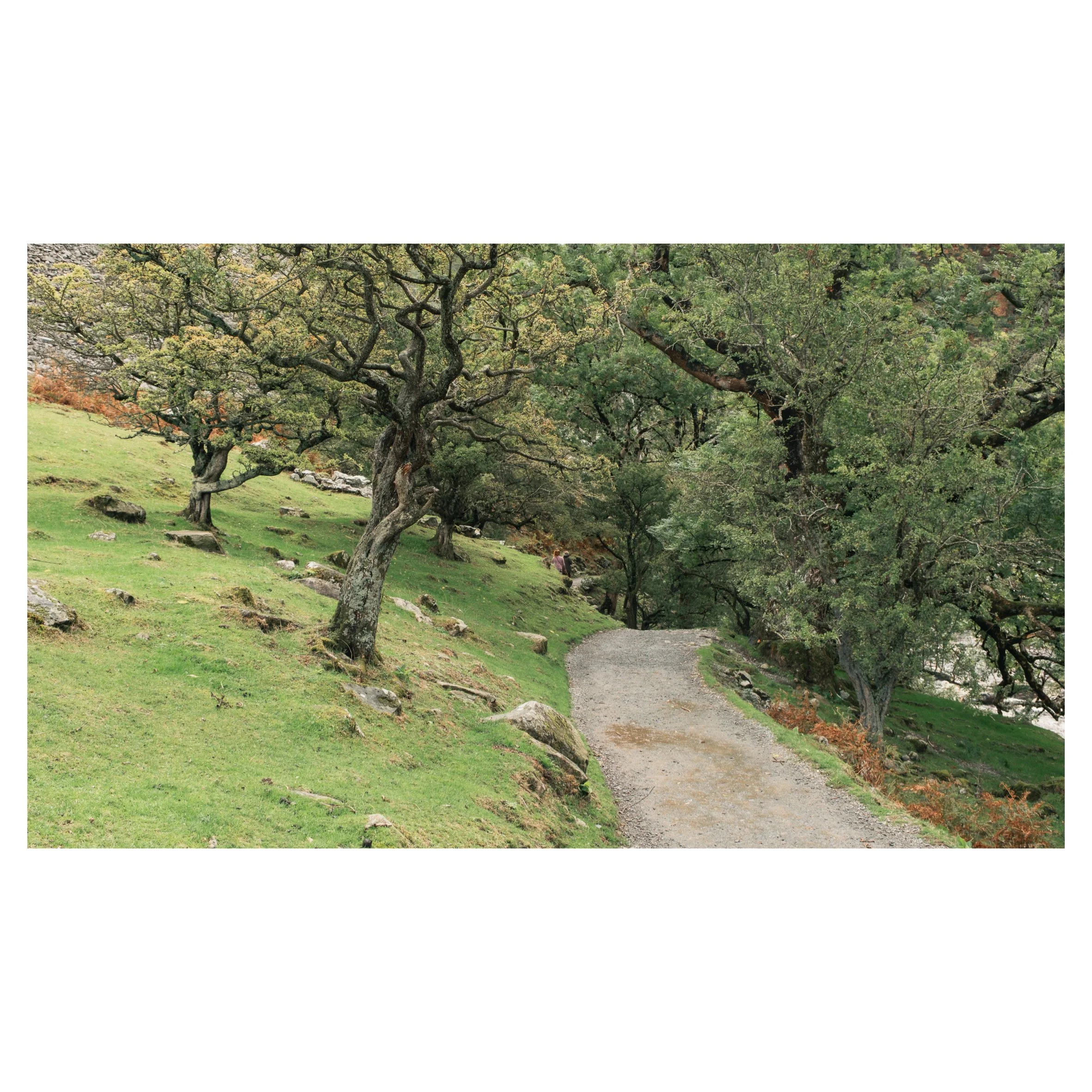 Aber Falls in frames-07.jpg